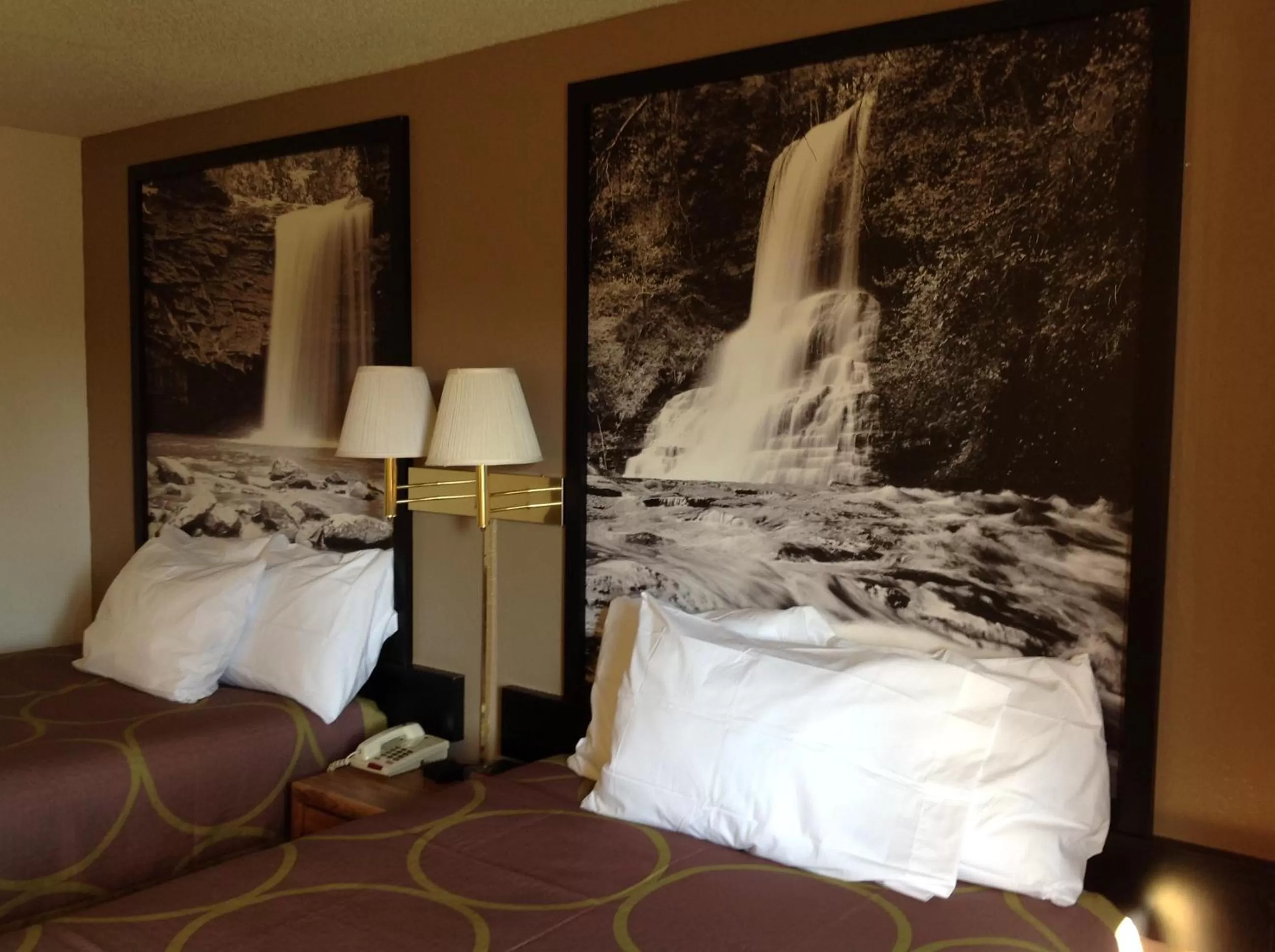 Bed in Super 8 by Wyndham Winchester VA