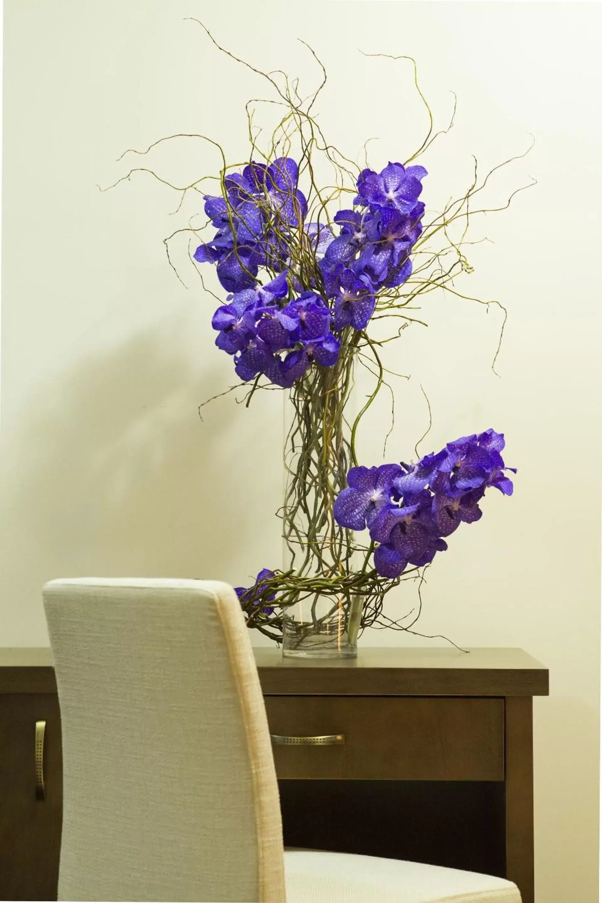 Deluxe Double Room in Garni Hotel Central Lux Deluxe Double Room in Garni Hotel Central Lux