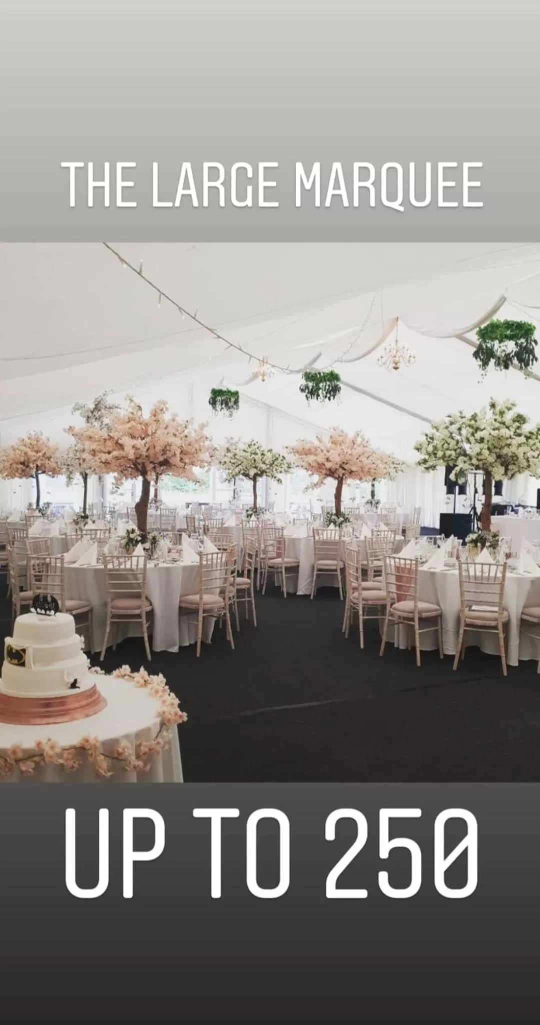 Evening entertainment in The Royal Arms Hotel Room Only