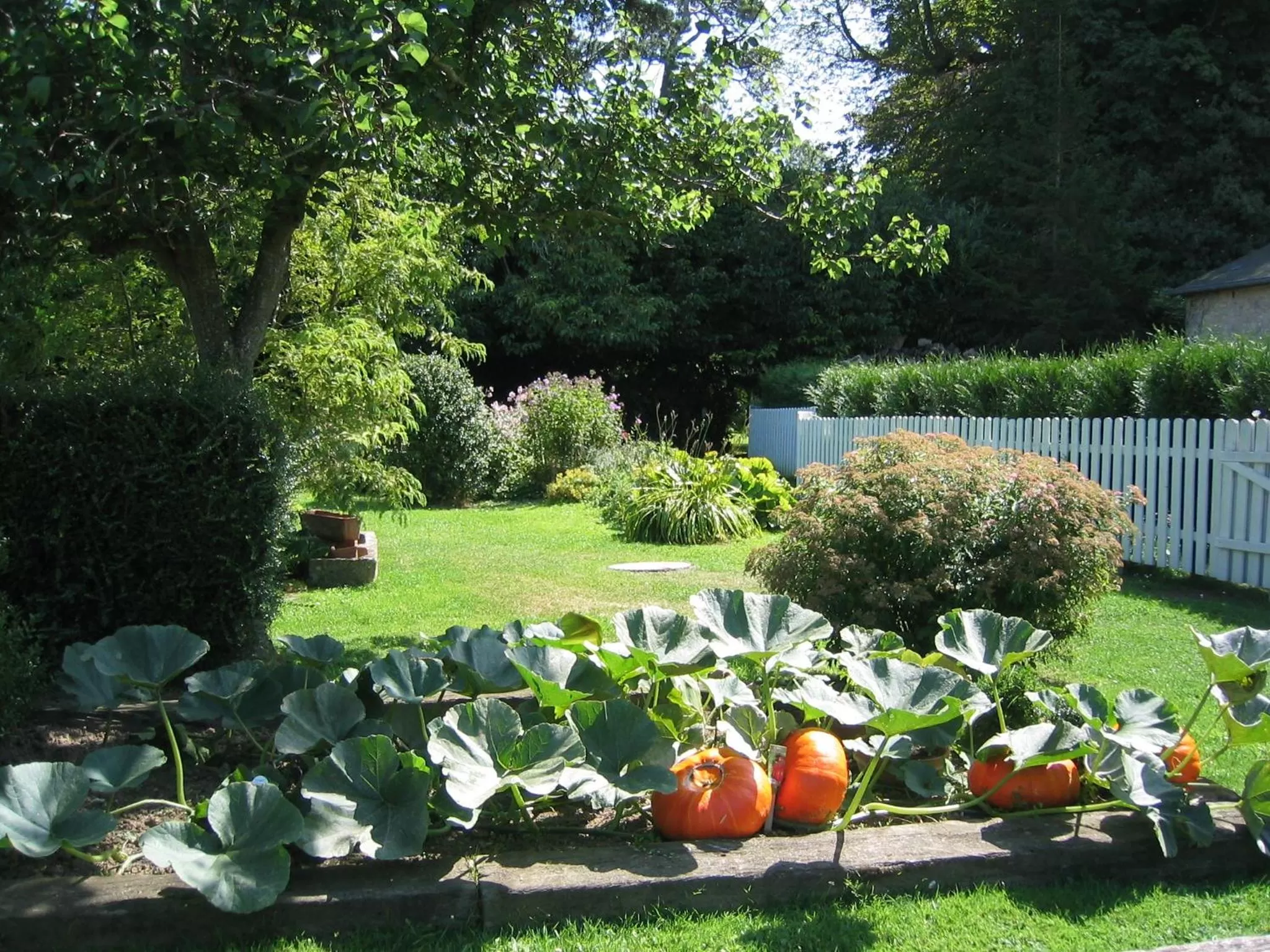 Garden in Chateau La Cheneviere