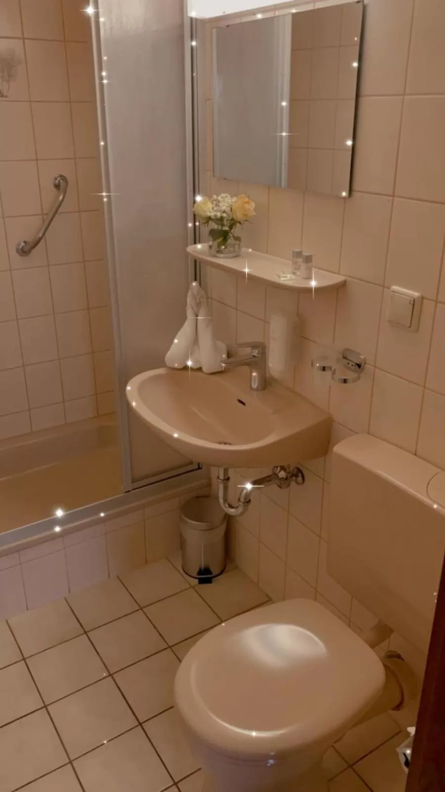 Bathroom in Hotel Goldene Rose