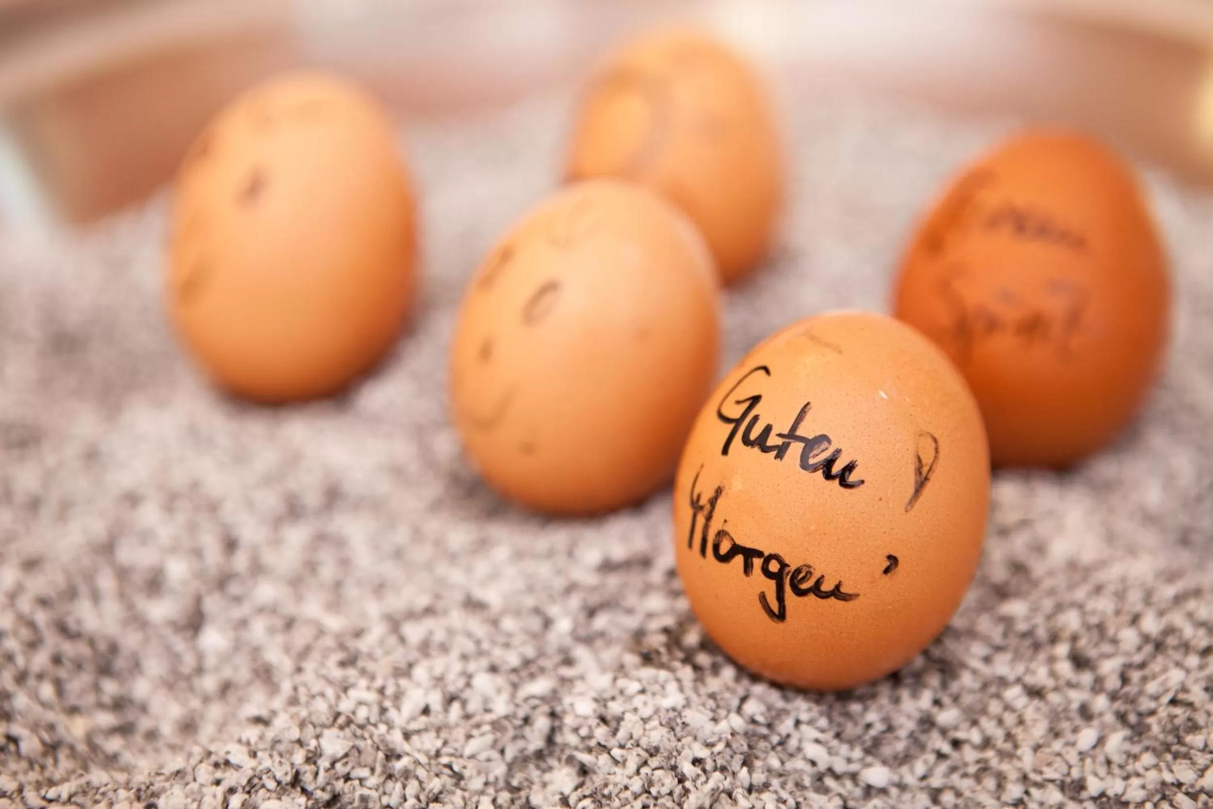 Buffet breakfast in Green Spirit Hotel