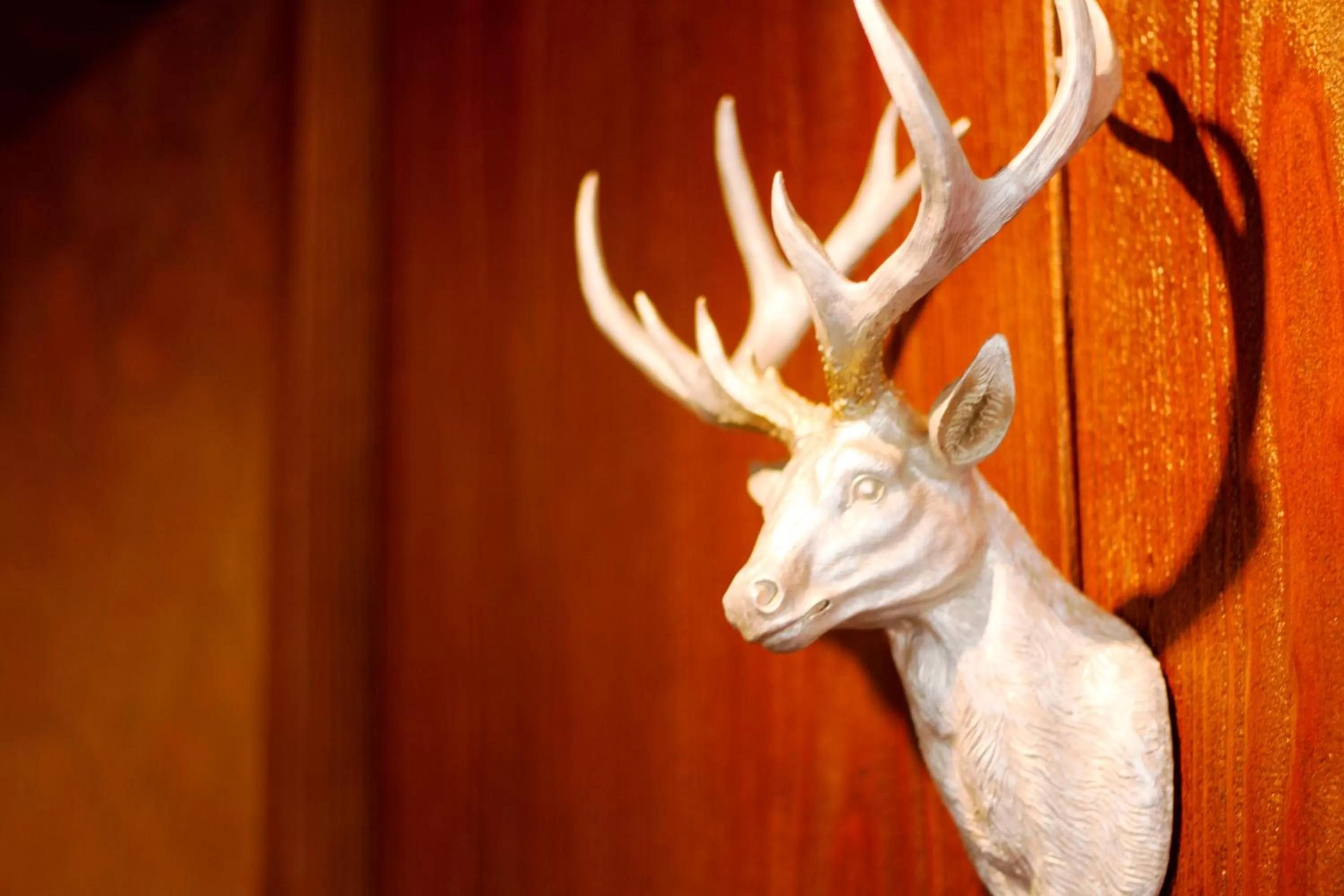 Other in Hotel Hellers Twenty Four I -24h-Check-In-