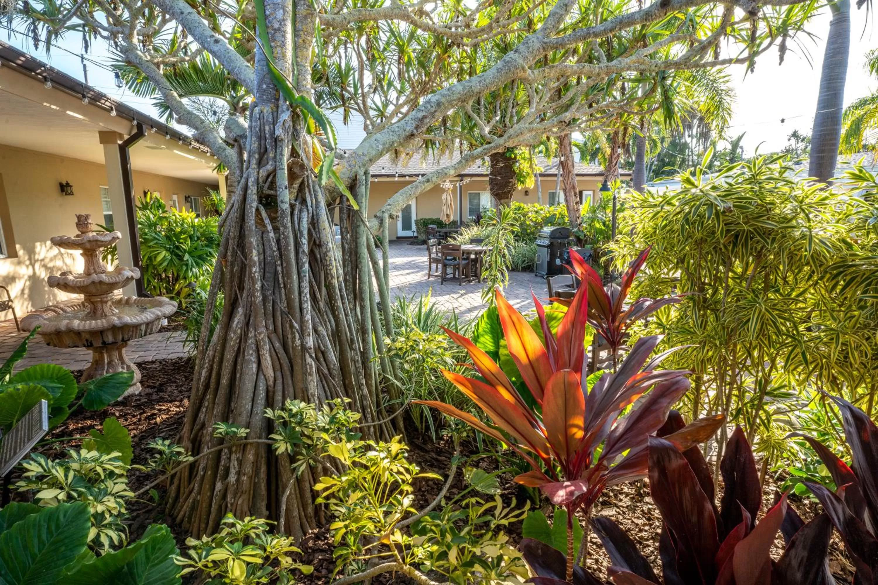 Garden in The Capri at Siesta