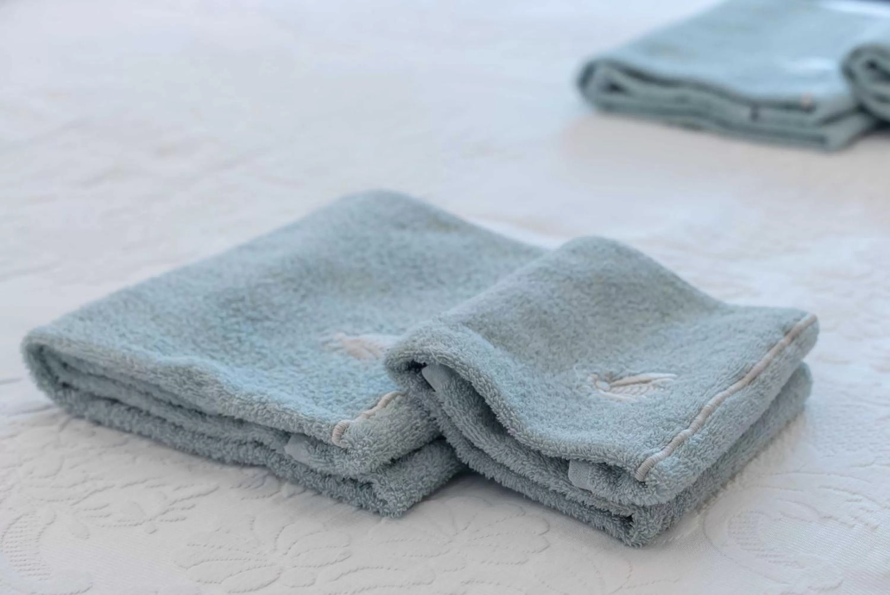 Decorative detail in Giordani 23 B&B