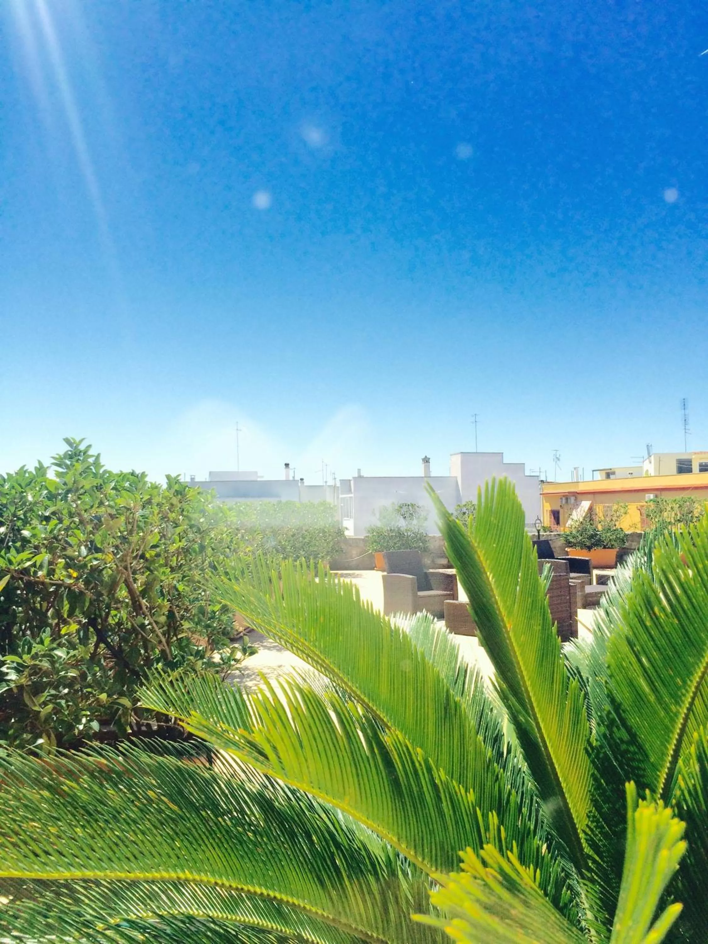Garden in Castello Conti Filo