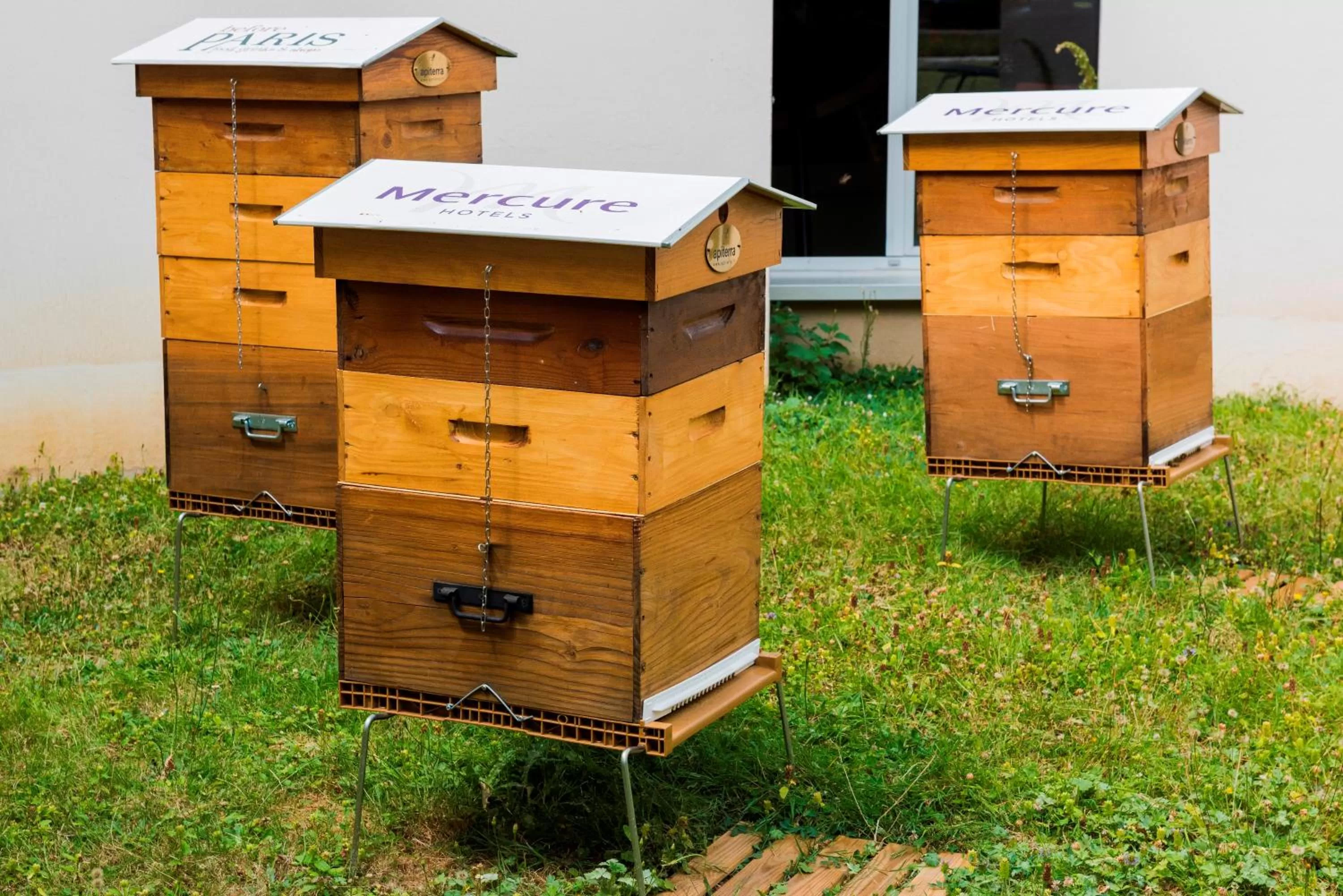 Garden in Mercure Paris Roissy CDG