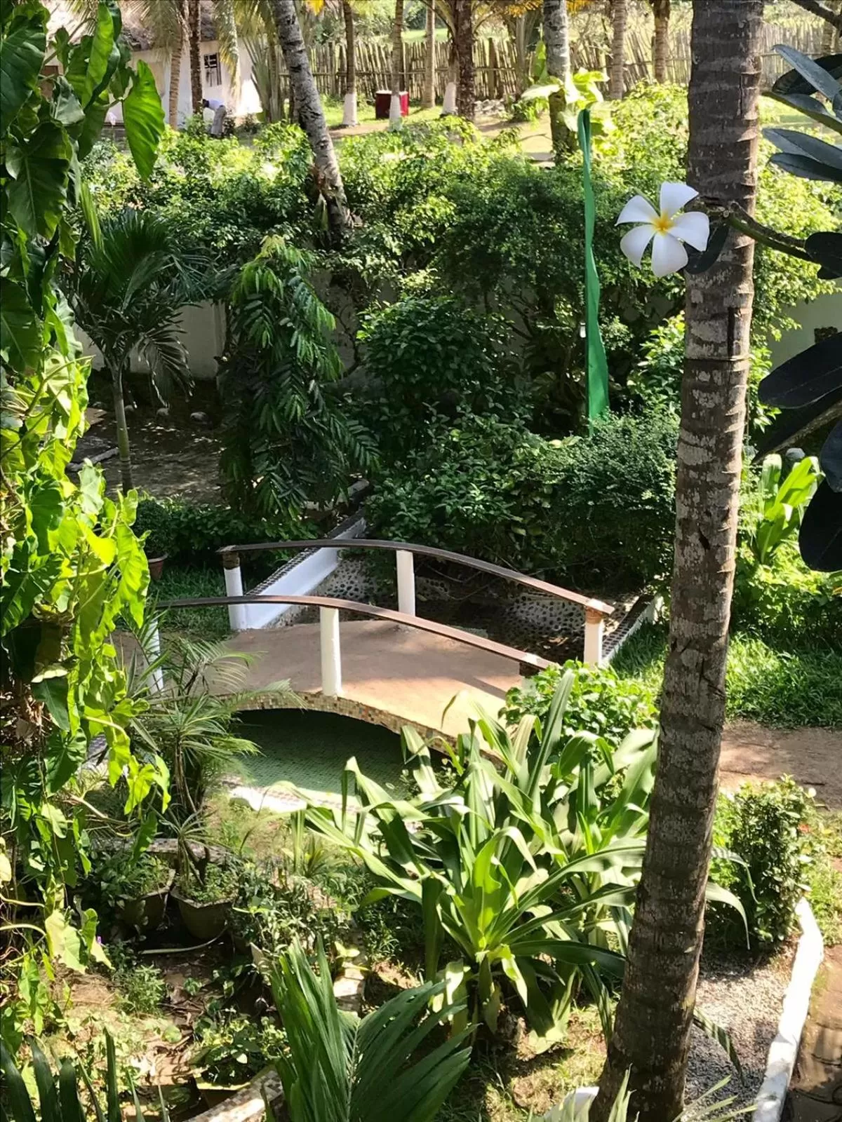 Pool View in Boblin la Mer hotel restaurant plage