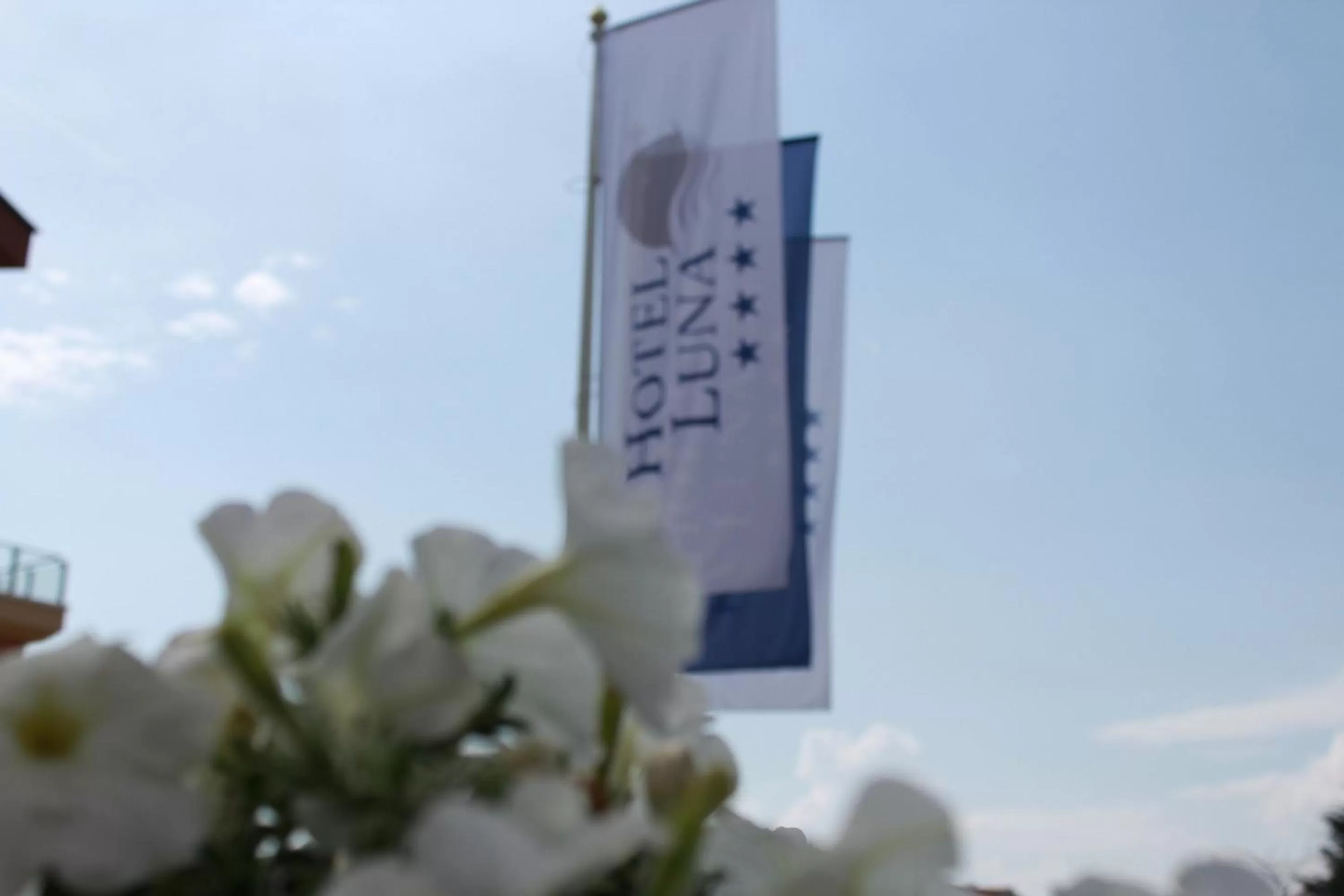 Balcony/Terrace in Hotel Luna