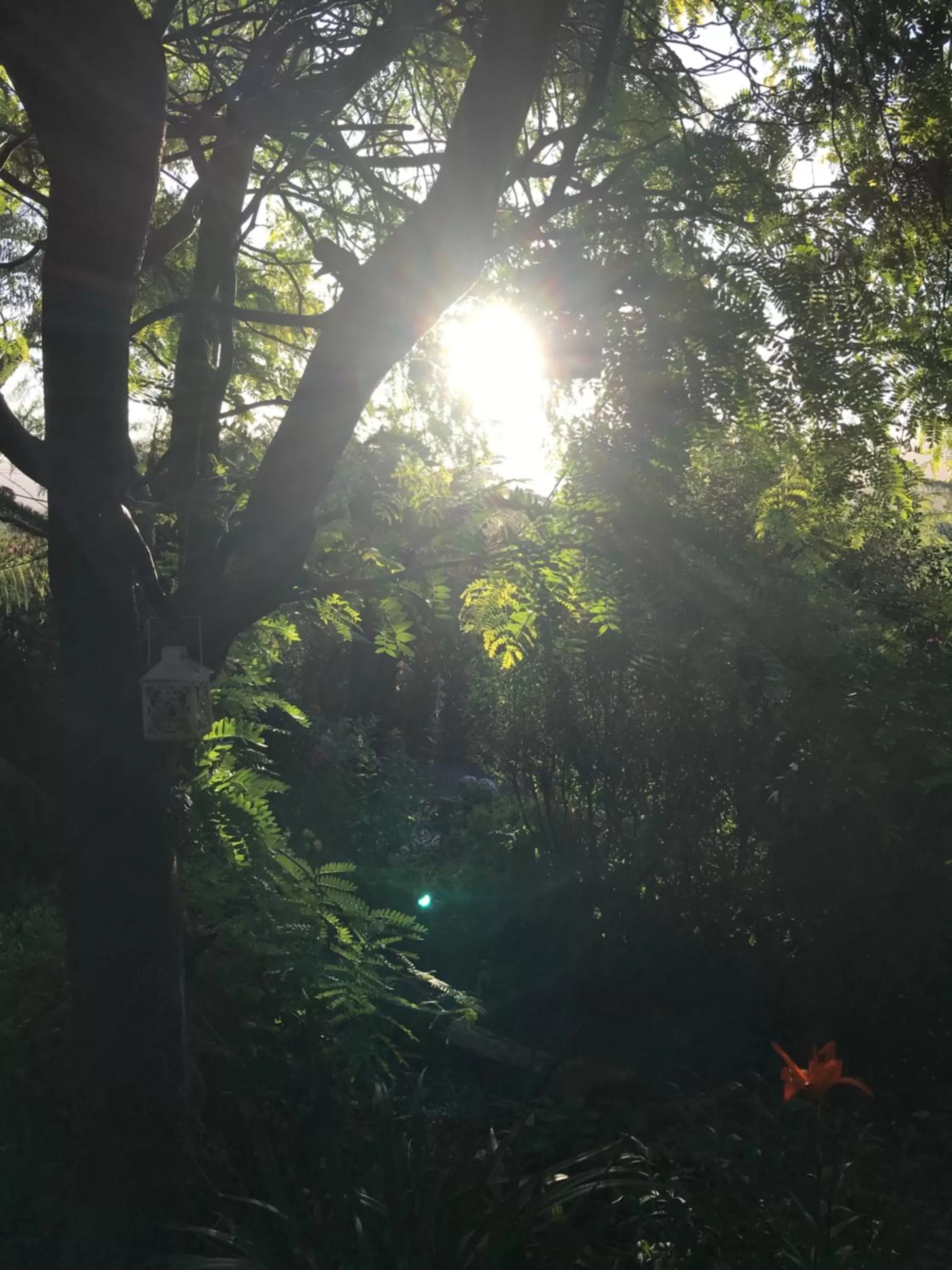 Hillside Bed and Breakfast