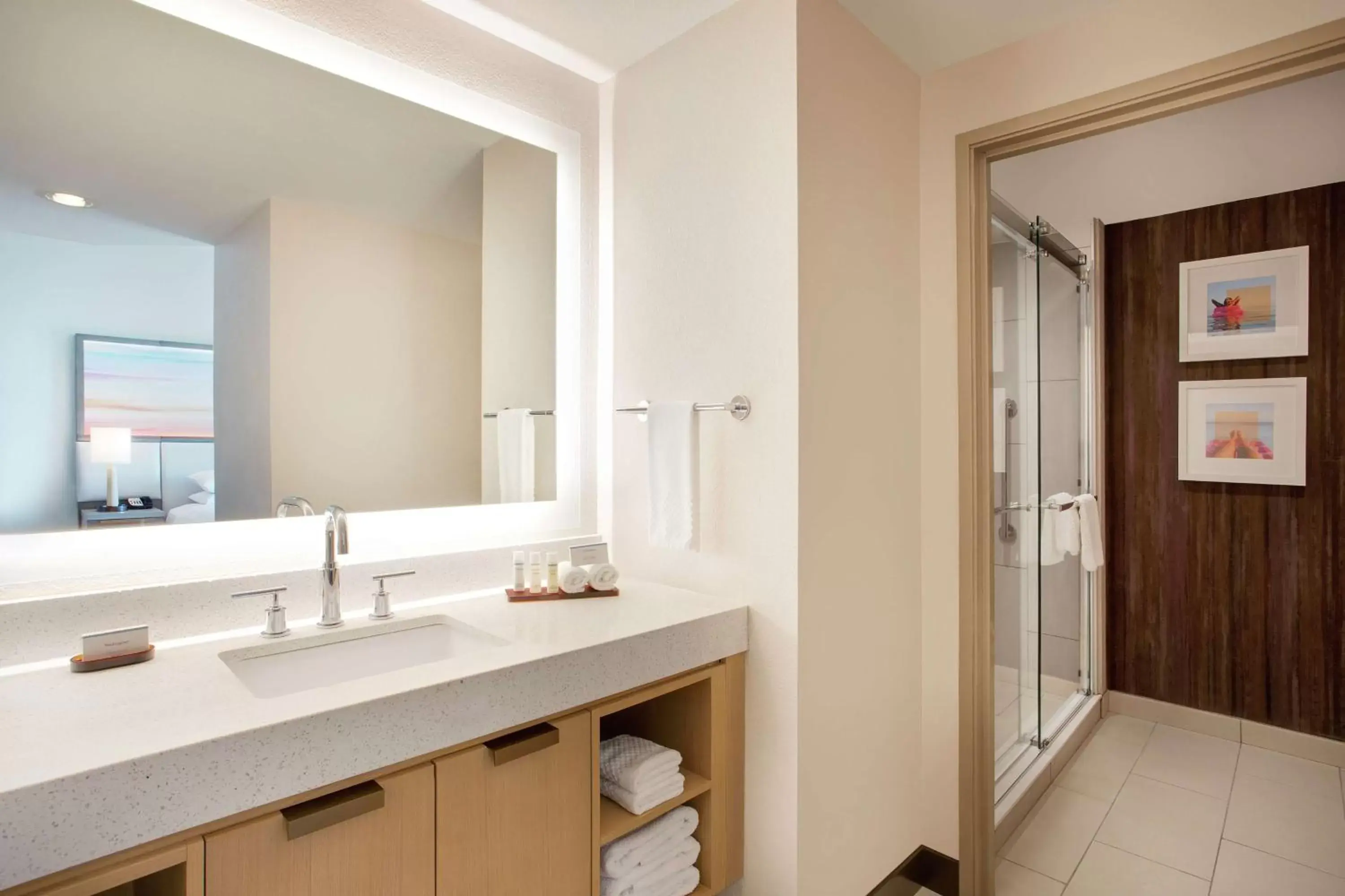 King Suite with Bay View - Non-Smoking in Embassy Suites by Hilton Tampa Downtown Convention Center King Suite with Bay View - Non-Smoking in Embassy Suites by Hilton Tampa Downtown Convention Center