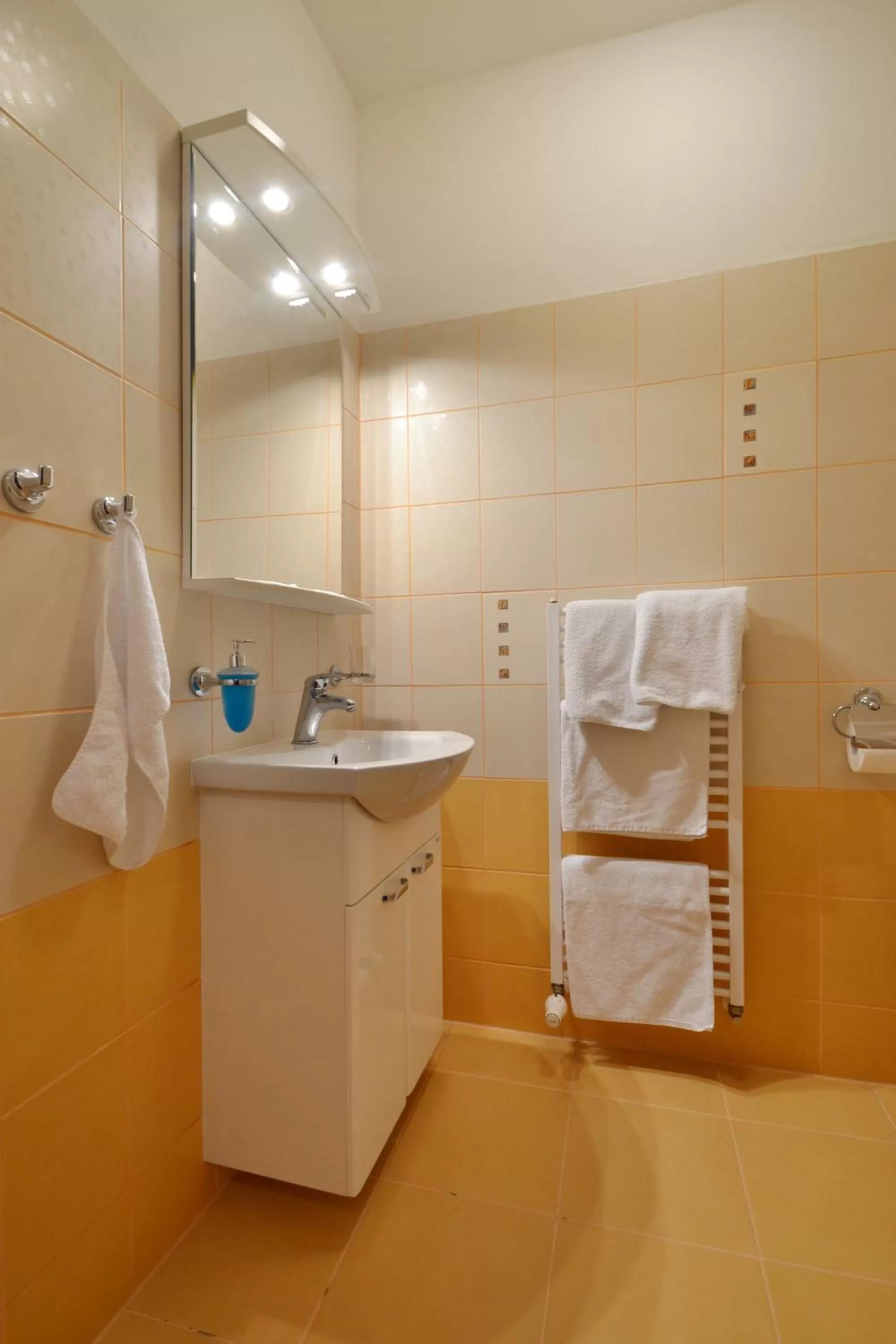 Bathroom in Hotel Palác