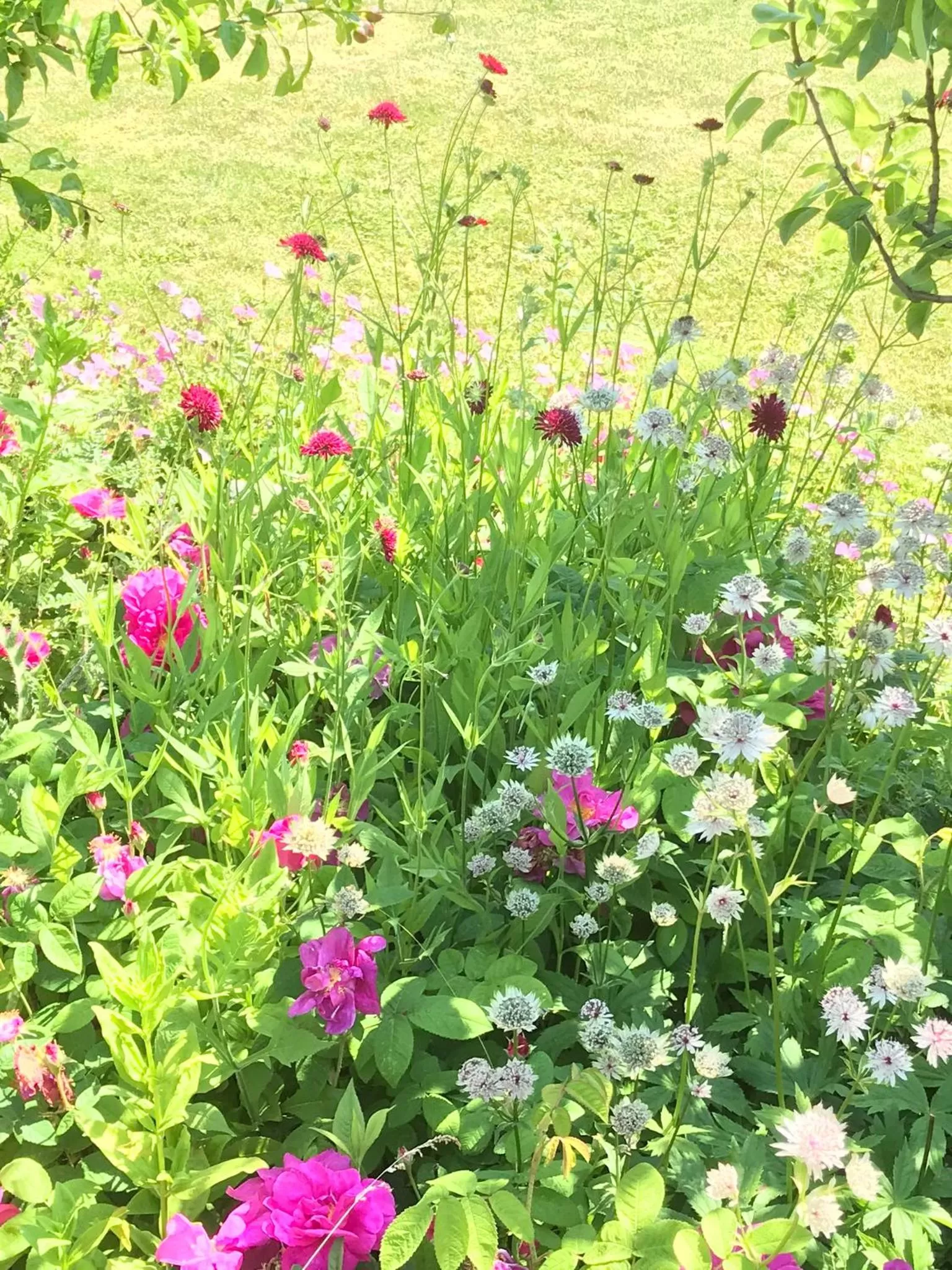 Property building in Beryl Country House