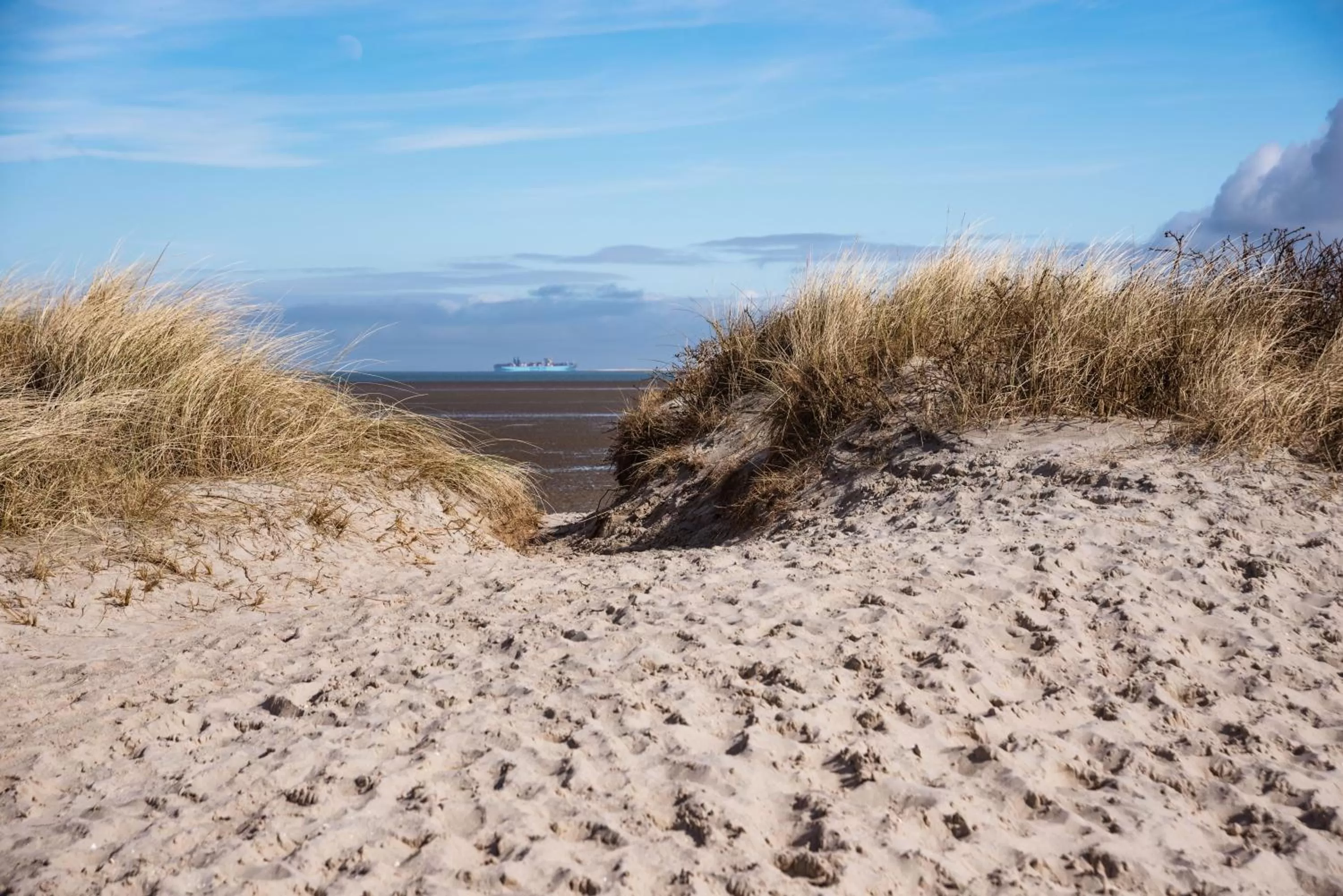 Beach in Hotel Neptun
