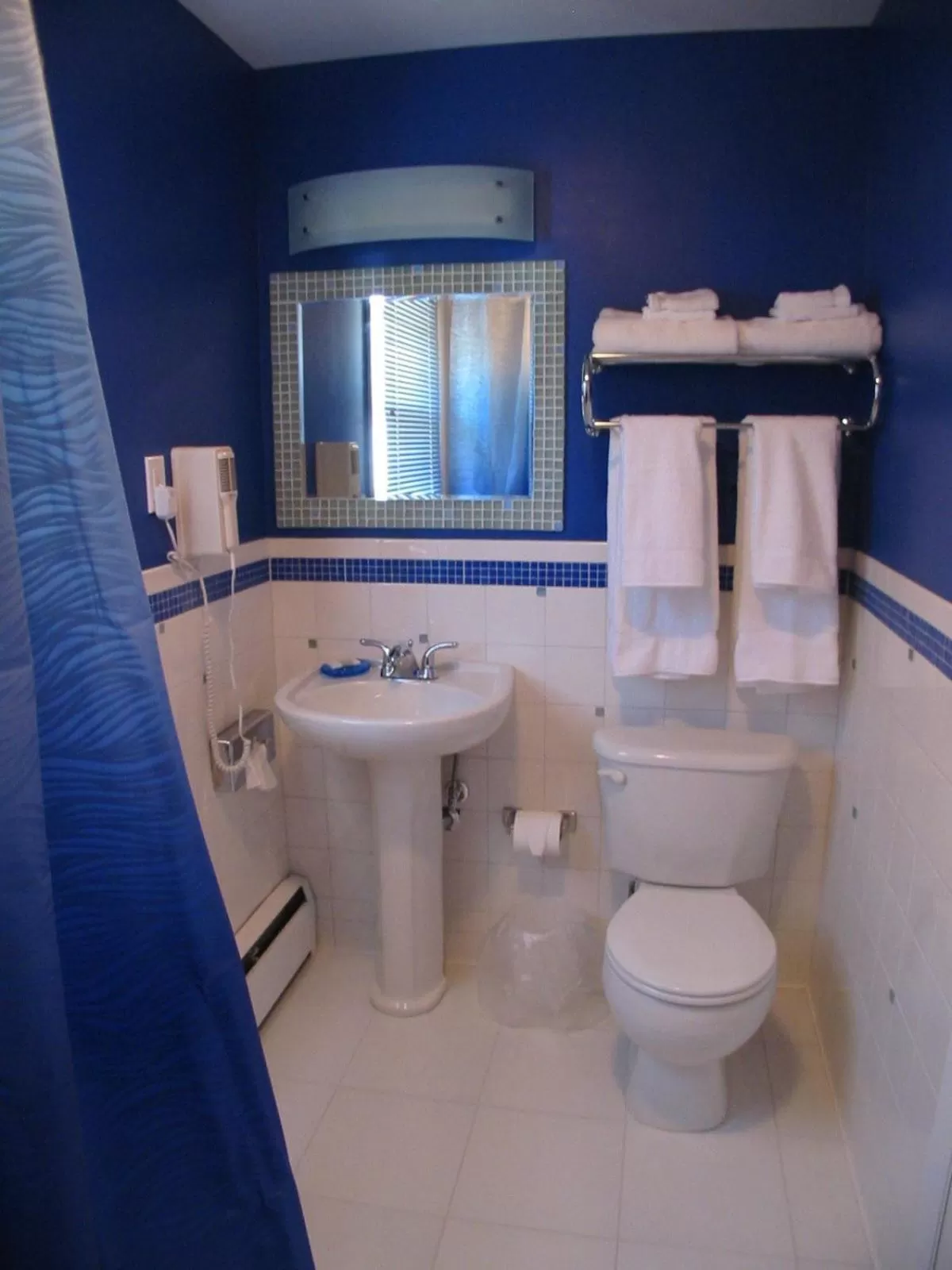 Toilet in The Roxbury