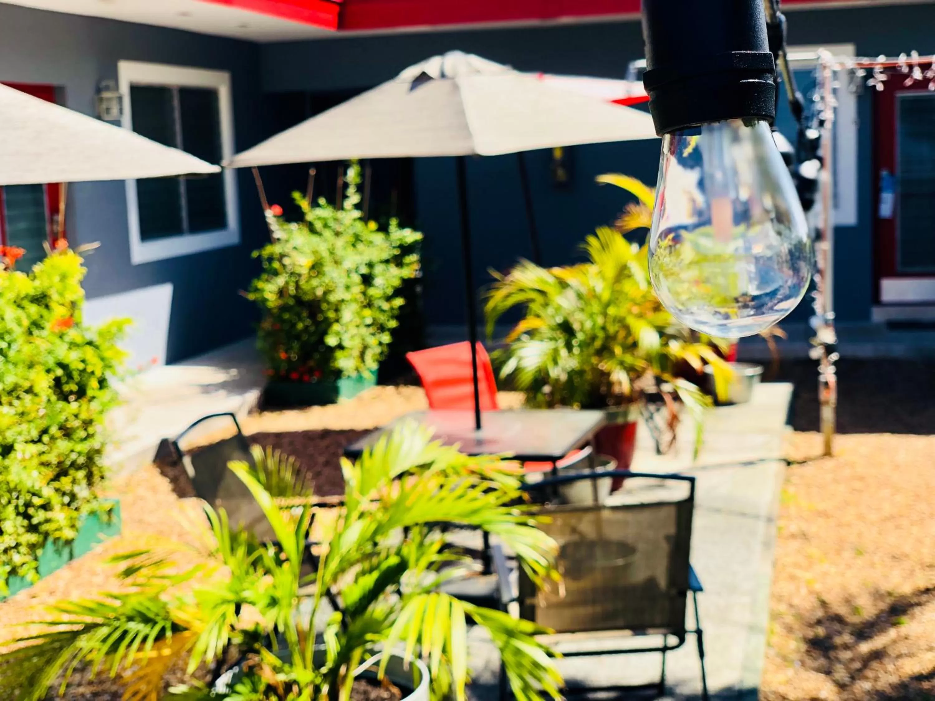 Patio in Hollywood Light Haven Lodge