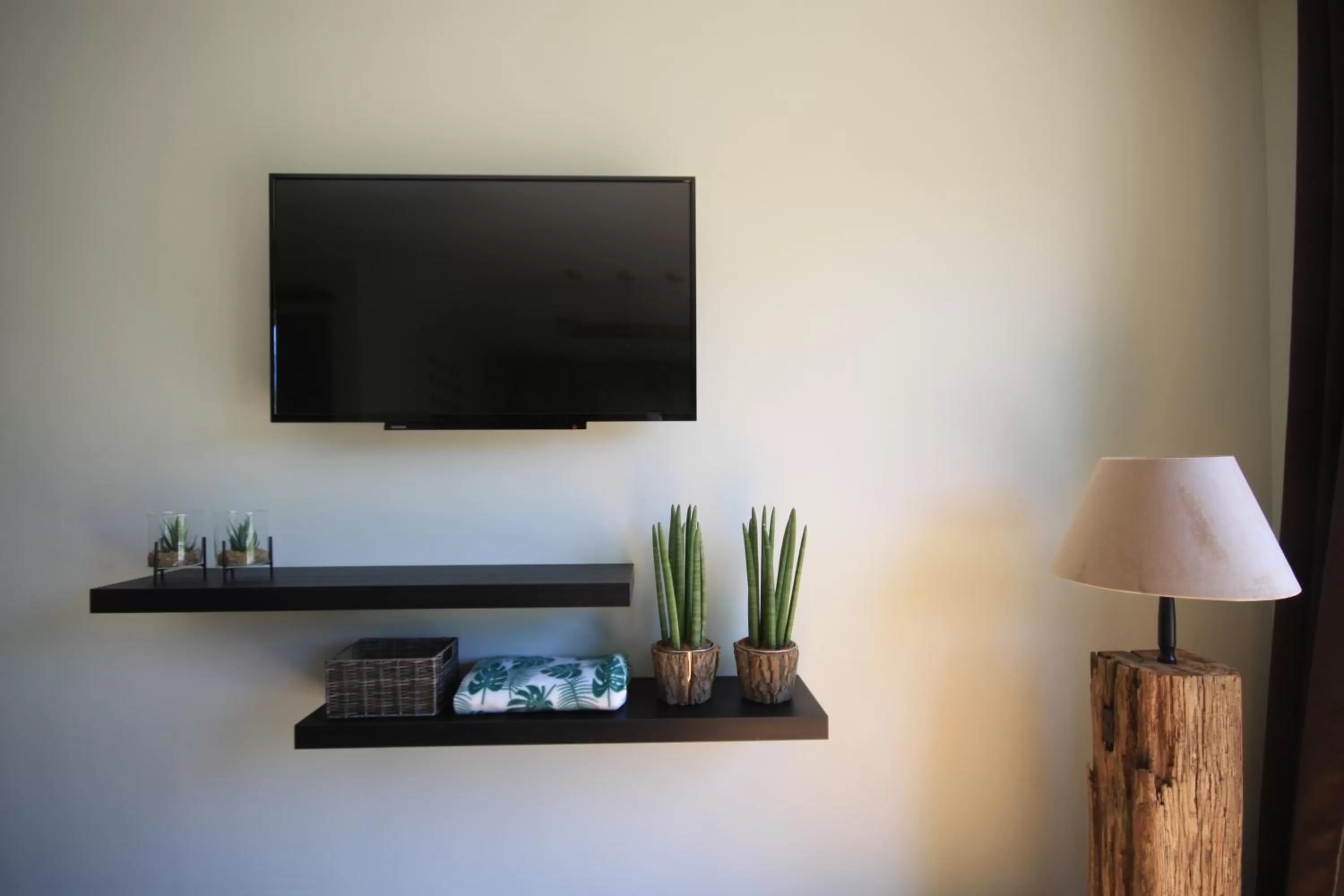 TV and multimedia in B&B Beach&Bos