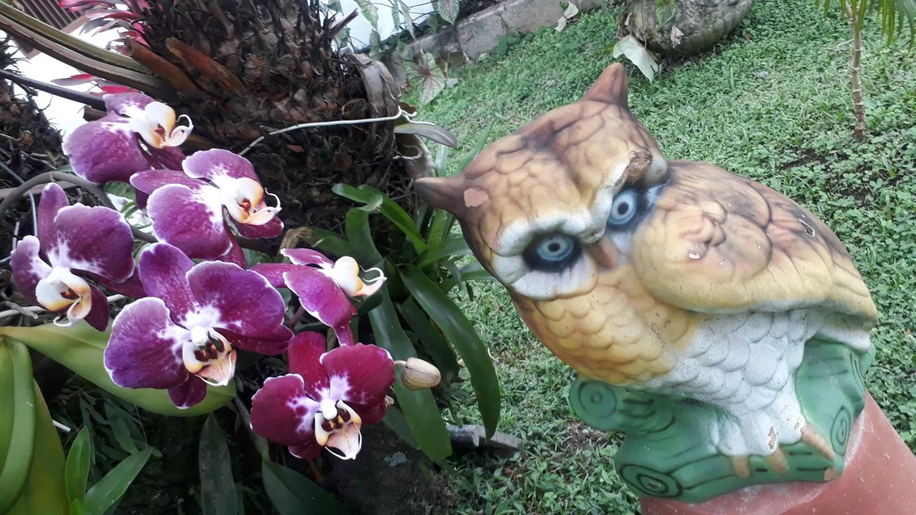 Cantinho da Geisa - suítes mobiliadas