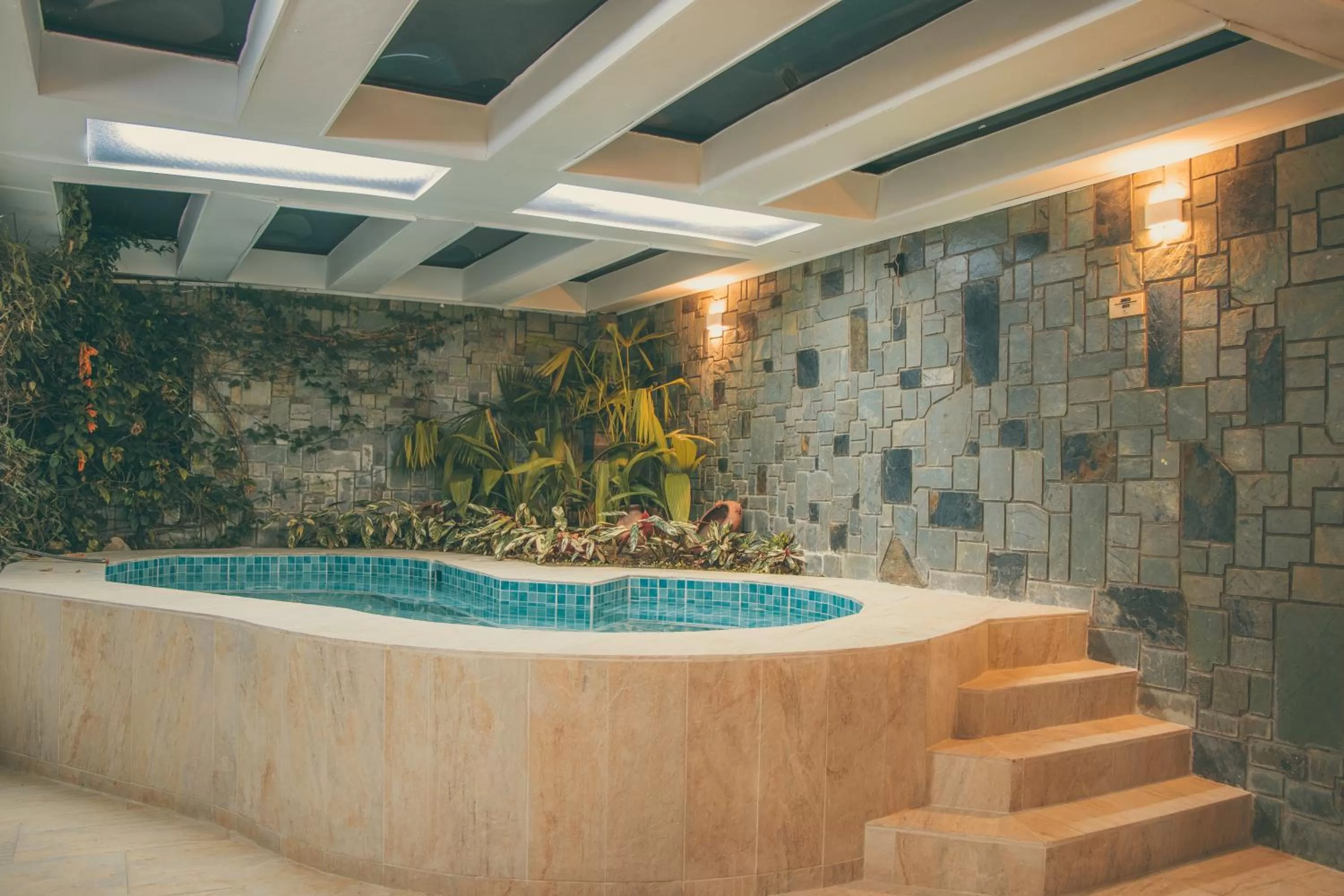 Spa and wellness centre/facilities, Swimming Pool in Cotinga Hotel Spa