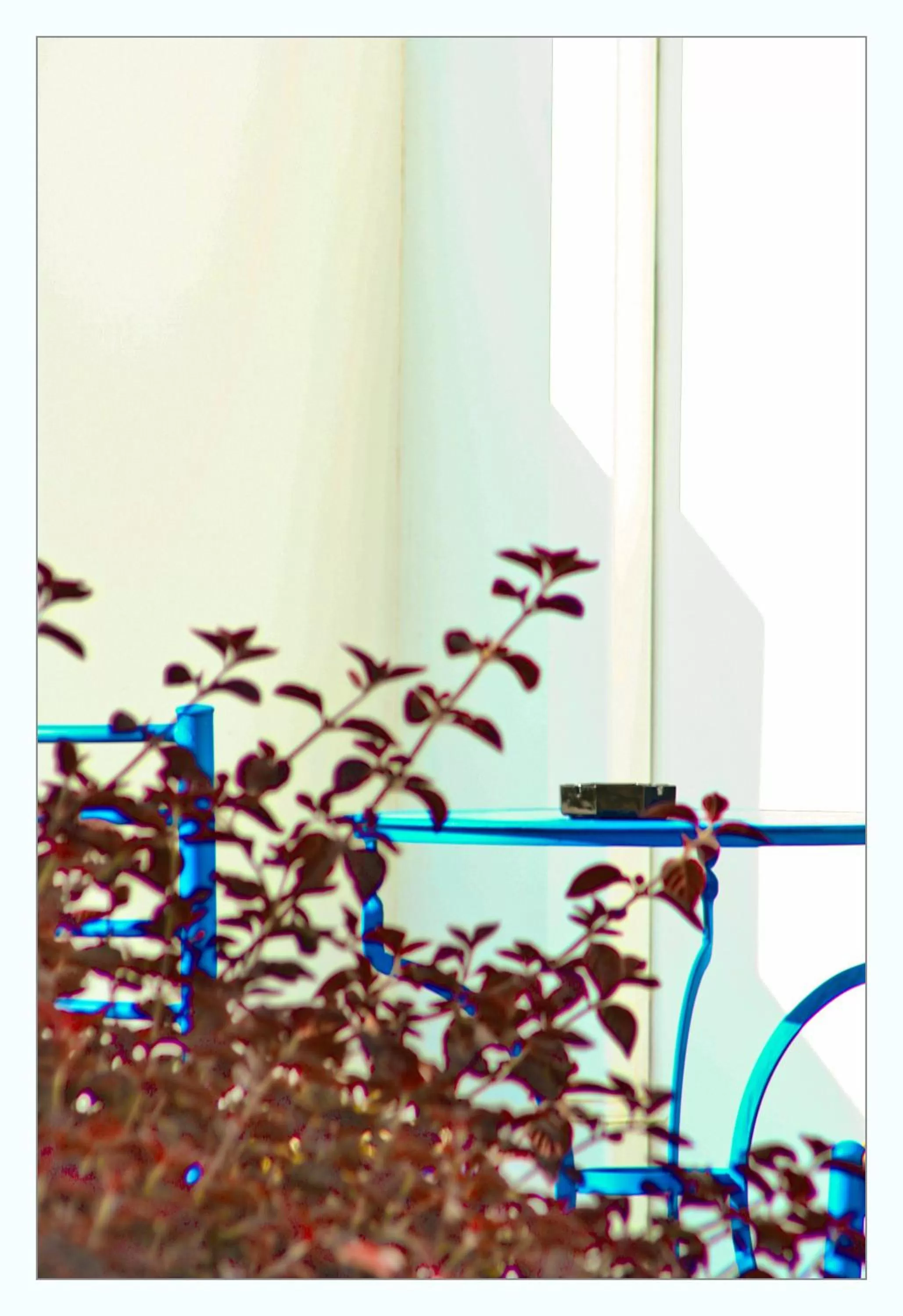 Decorative detail in Bella Vista Stegna