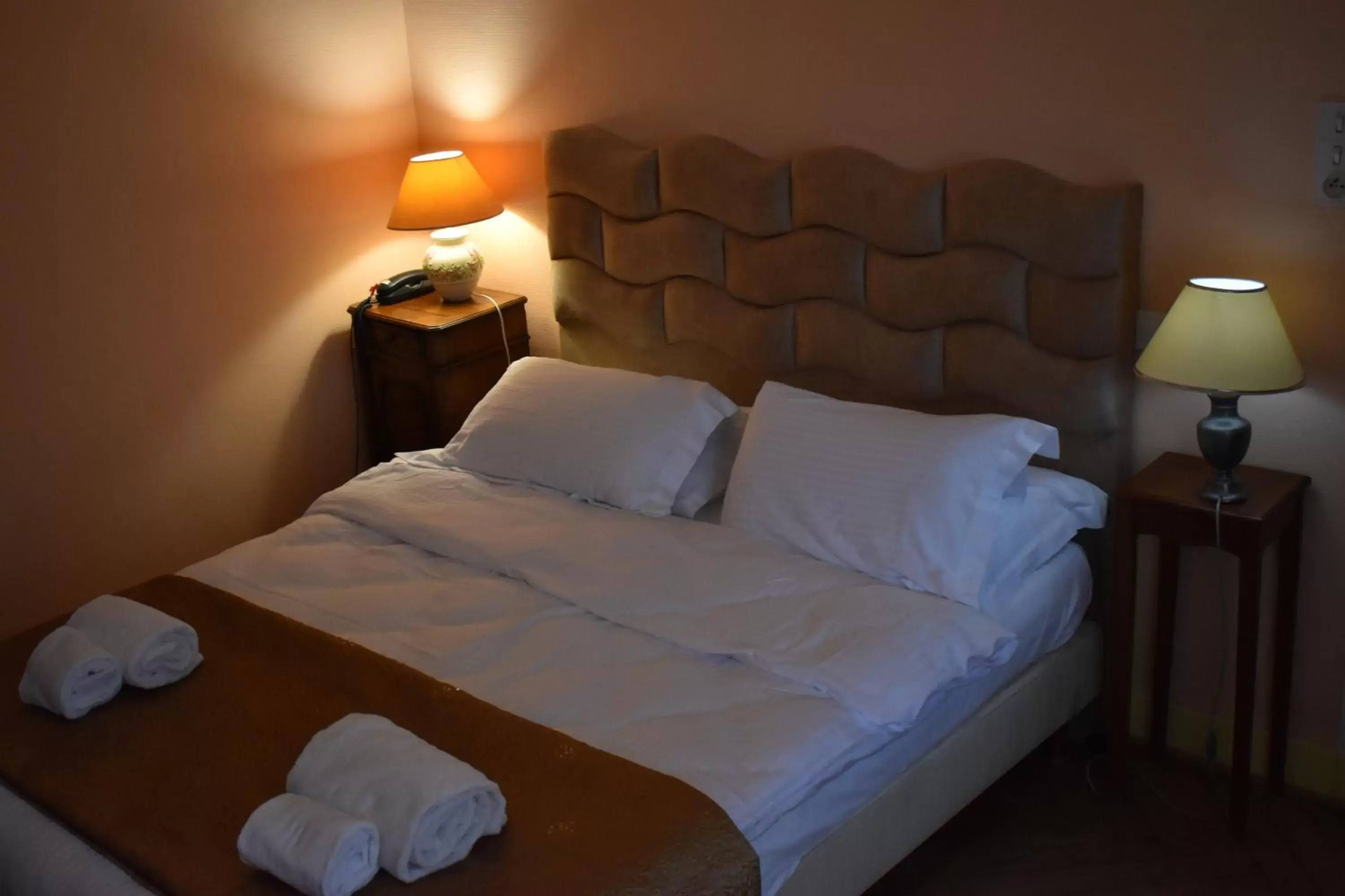 Double Room 1 adult in Hôtel Le Sauvage Double Room 1 adult in Hôtel Le Sauvage