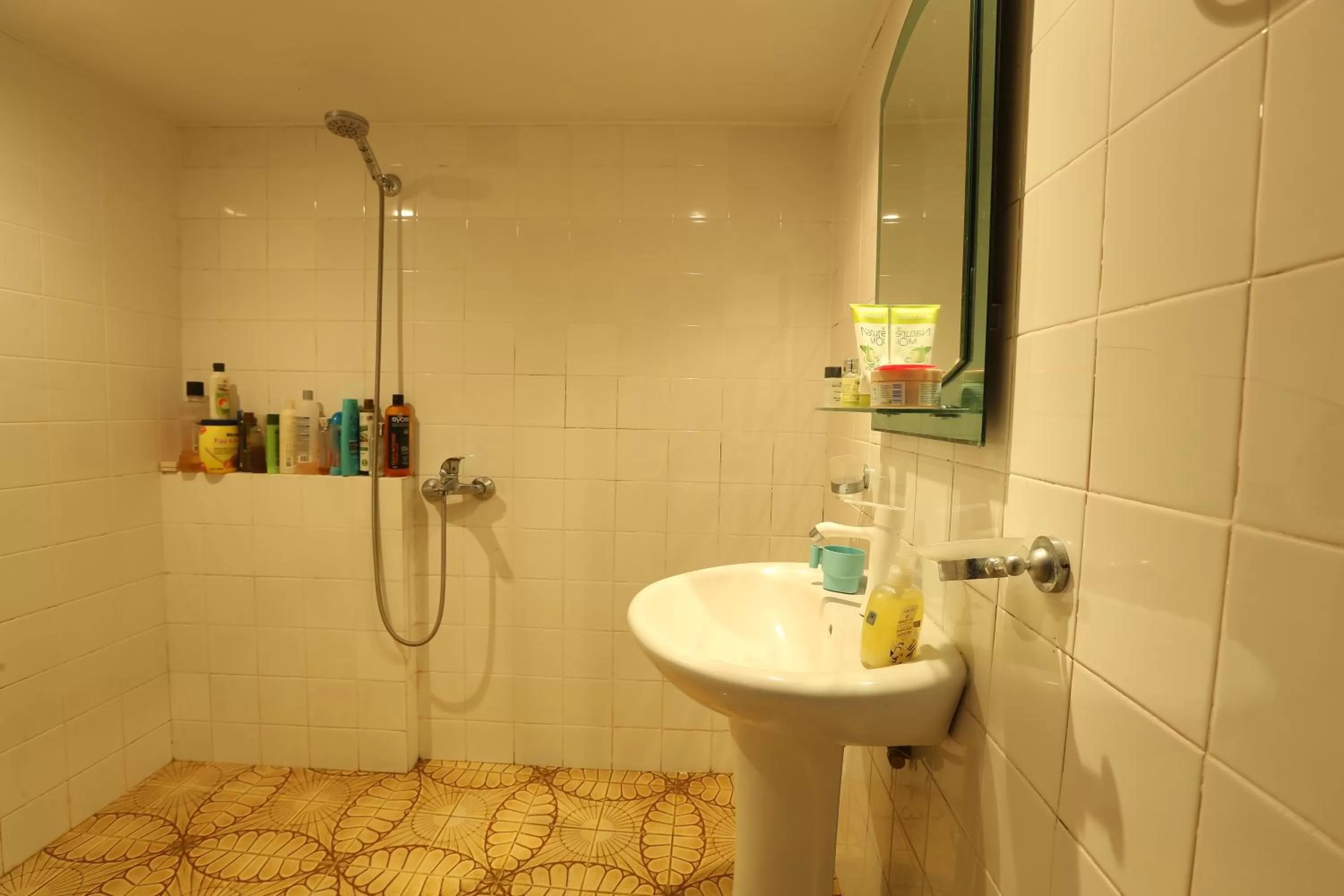 Shower, Bathroom in Ruzanna's Bed & Breakfast