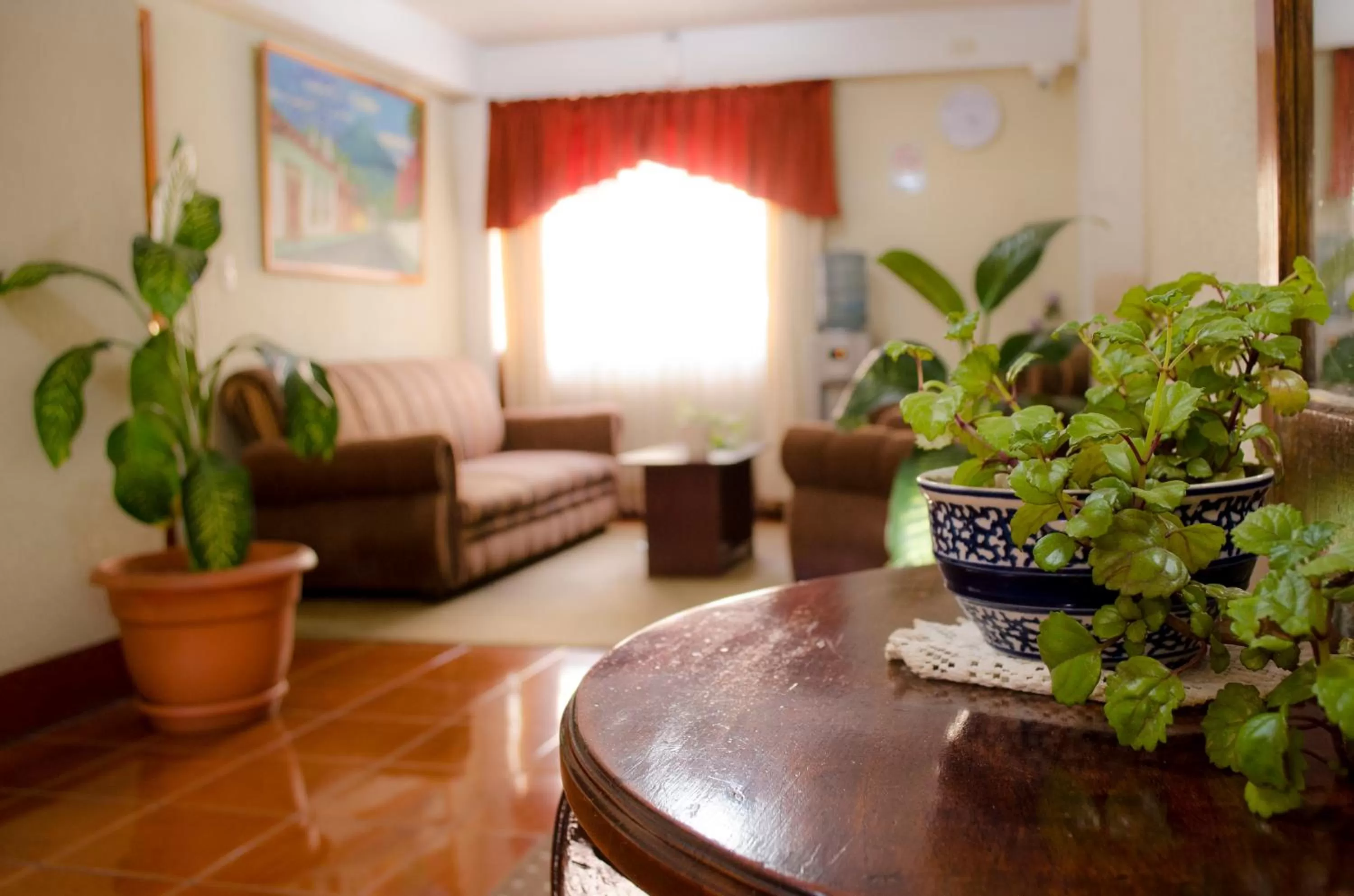 Area and facilities, Seating Area in Hotel Las Americas