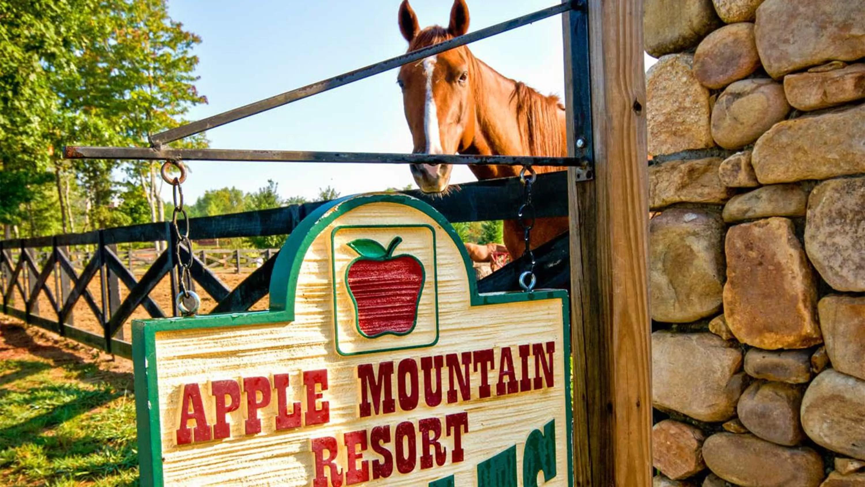 Area and facilities in Holiday Inn Club Vacations Apple Mountain Resort at Clarkesville