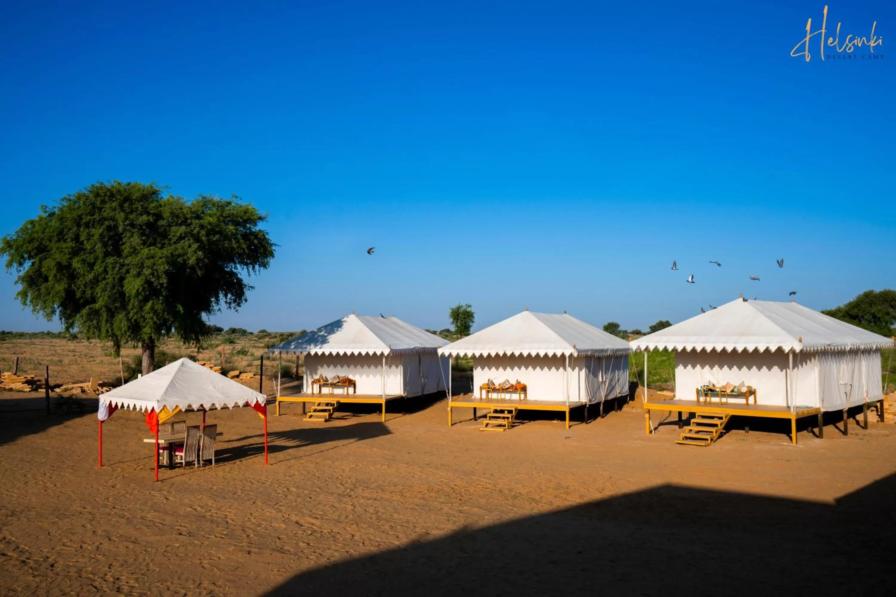 View (from property/room) in Helsinki Desert Camp