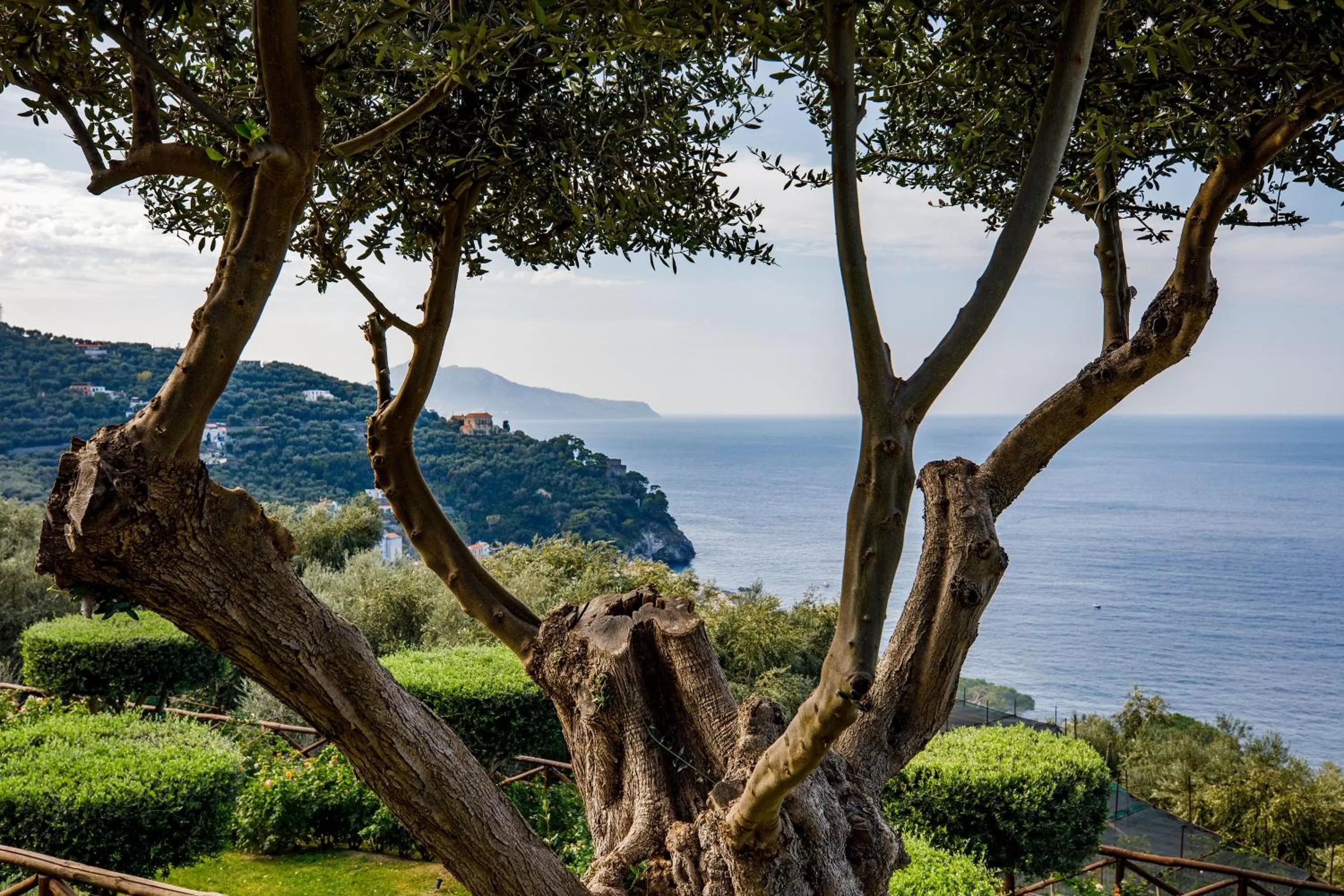 Natural landscape in Villa Fiorella Art Hotel