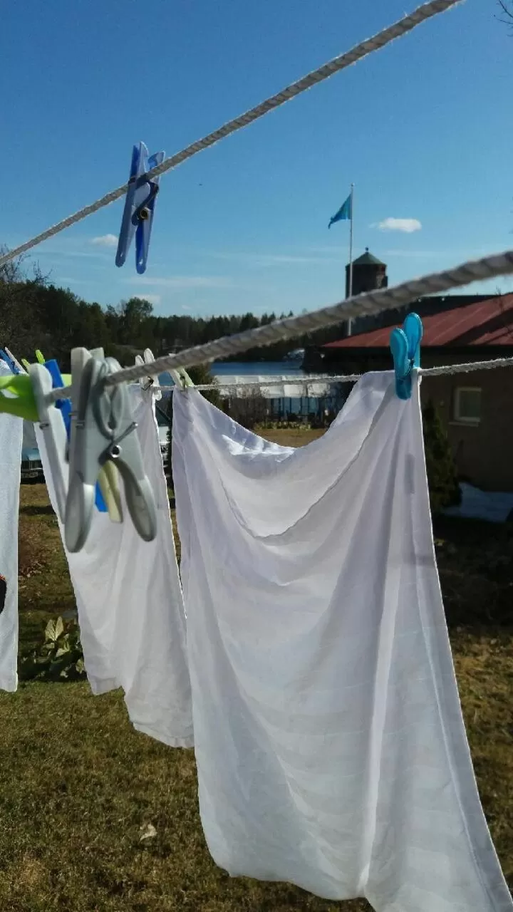 Spring, Banquet Facilities in Lossiranta Lodge