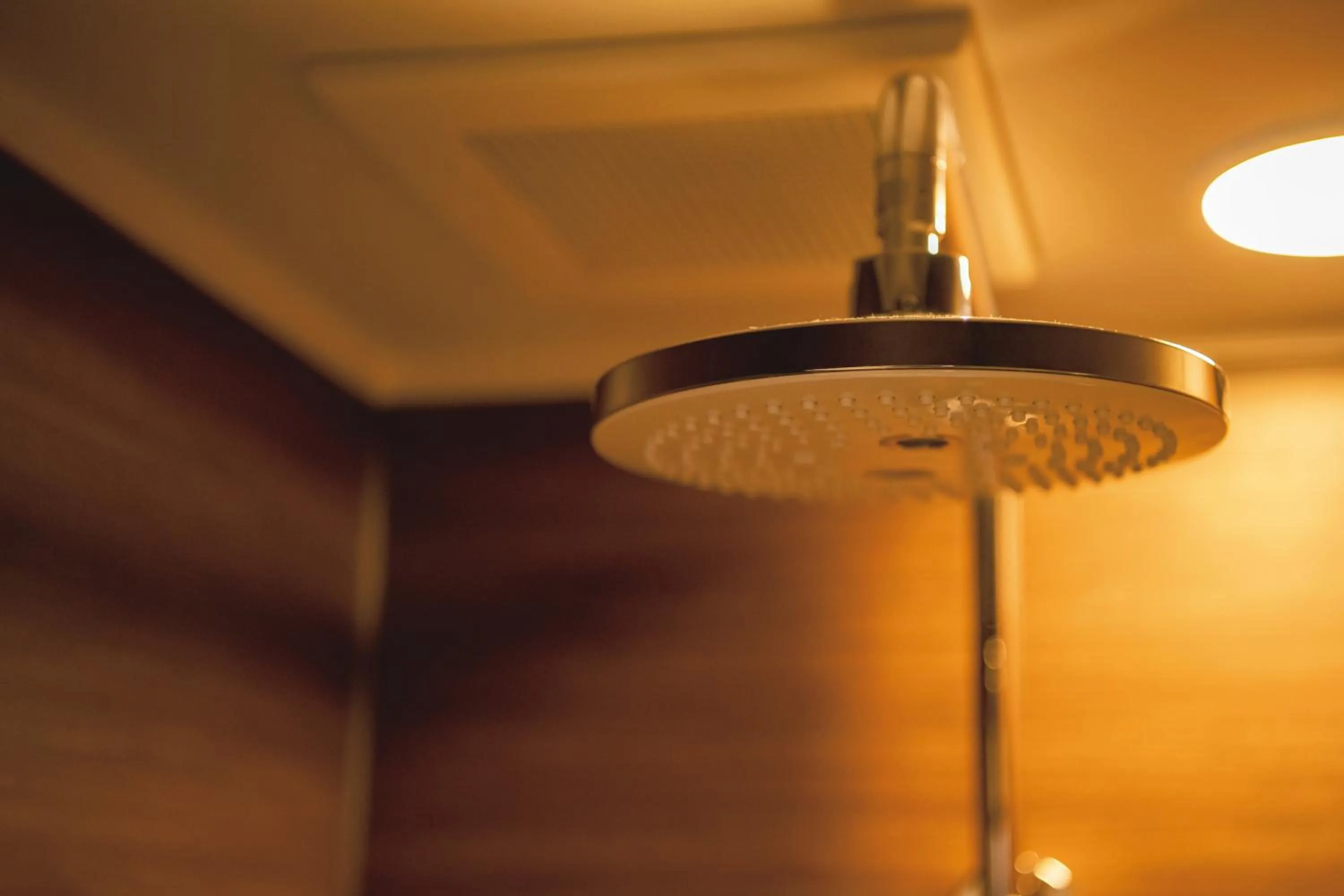 Shower in Prince Smart Inn Ebisu