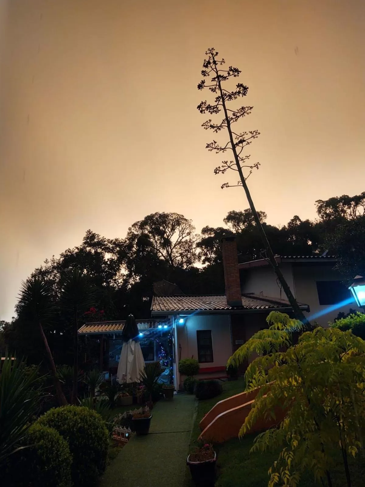 Garden in Rancho da Raposa em Campos do Jordão