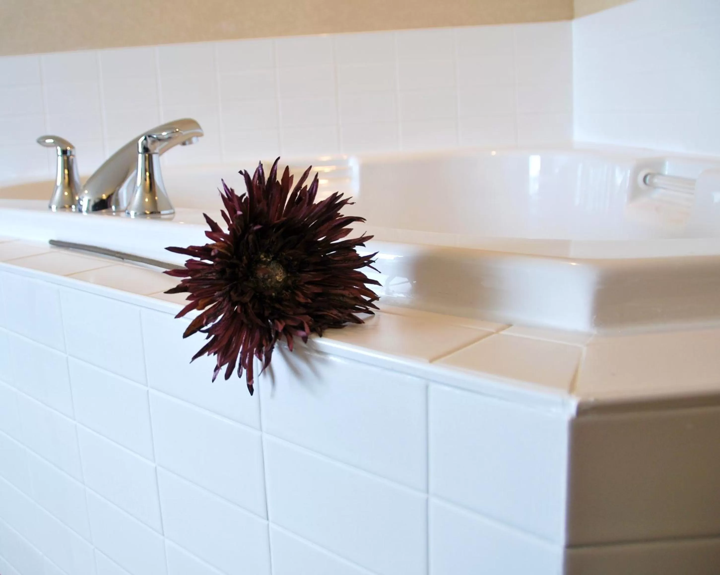 Other in Days Inn by Wyndham Regina Airport West