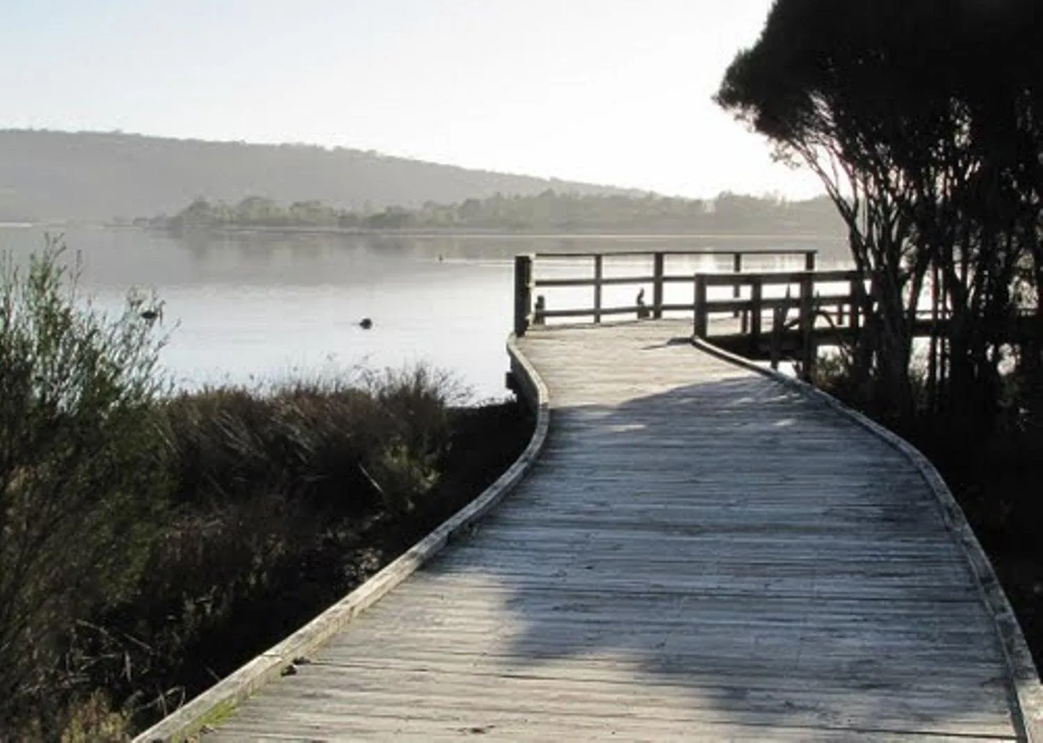 Neighbourhood in Coachman's Eden