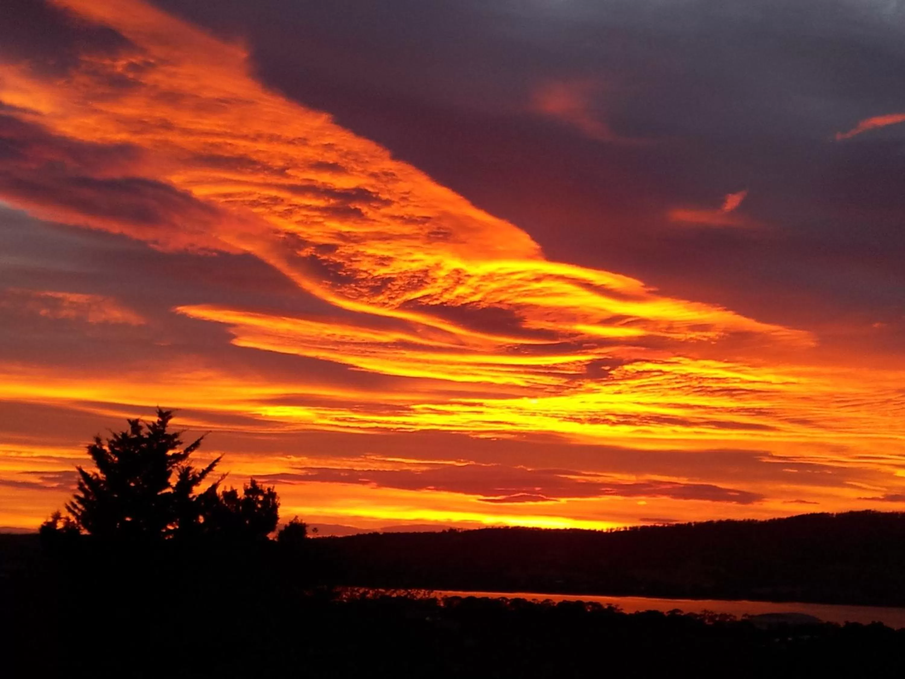 Sunrise in Waterview Gardens B&B