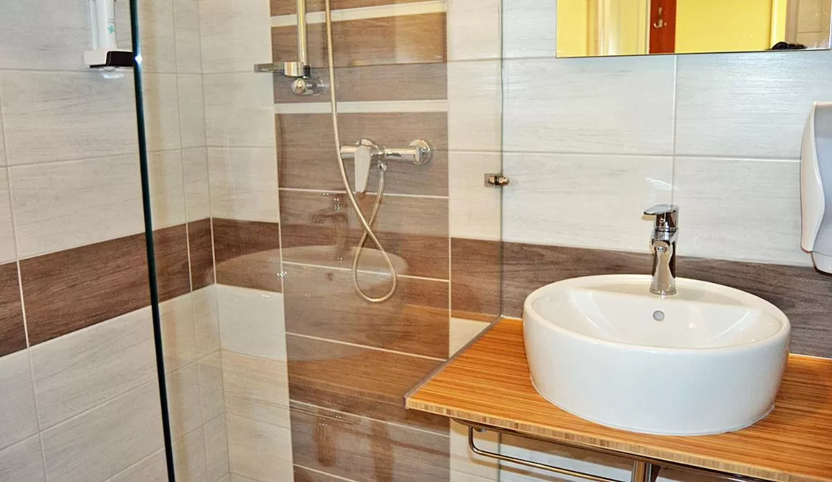 Shower, Bathroom in Motel Vega