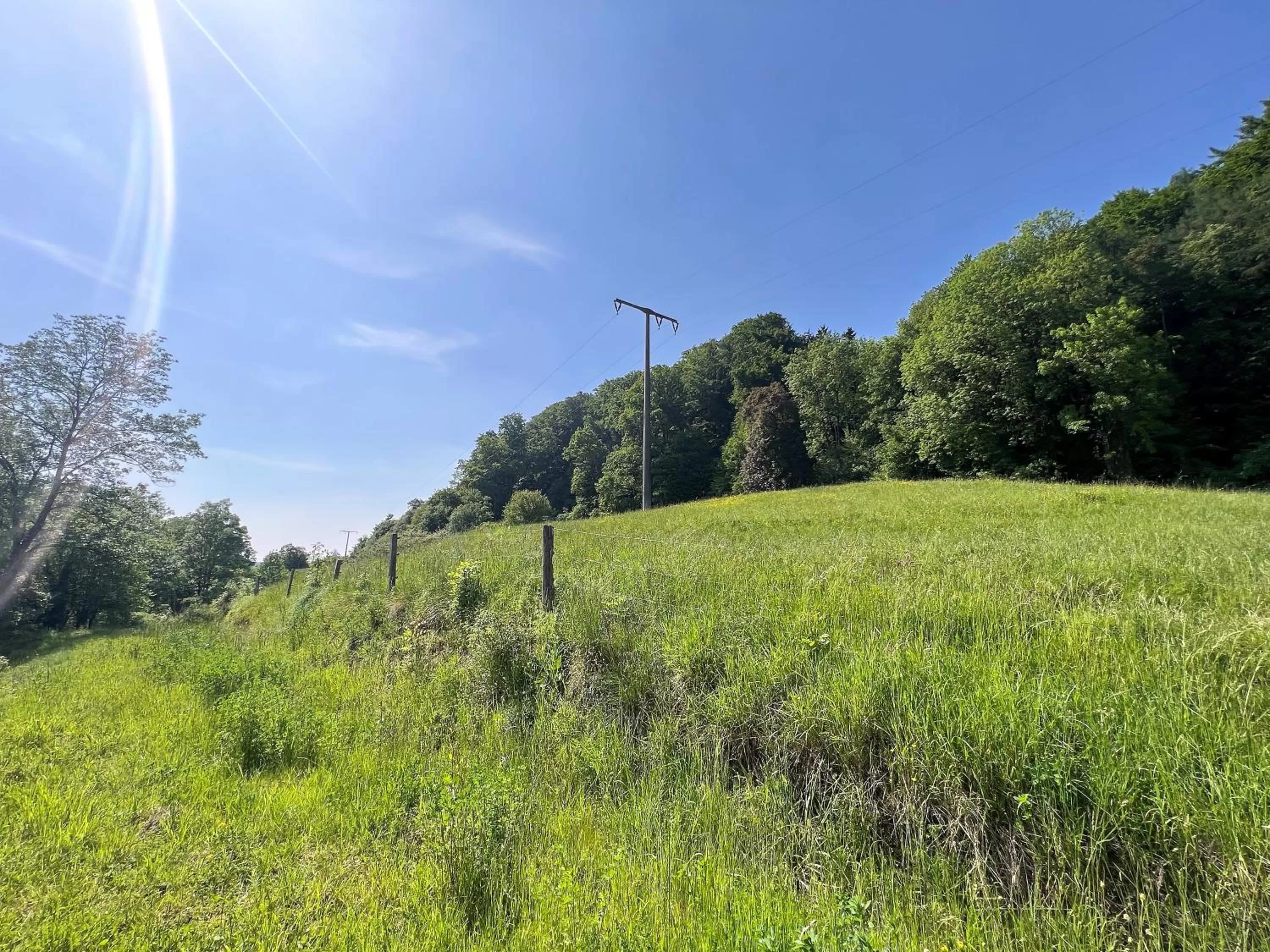 Garden in Sunhill Appartments, klimatisiert