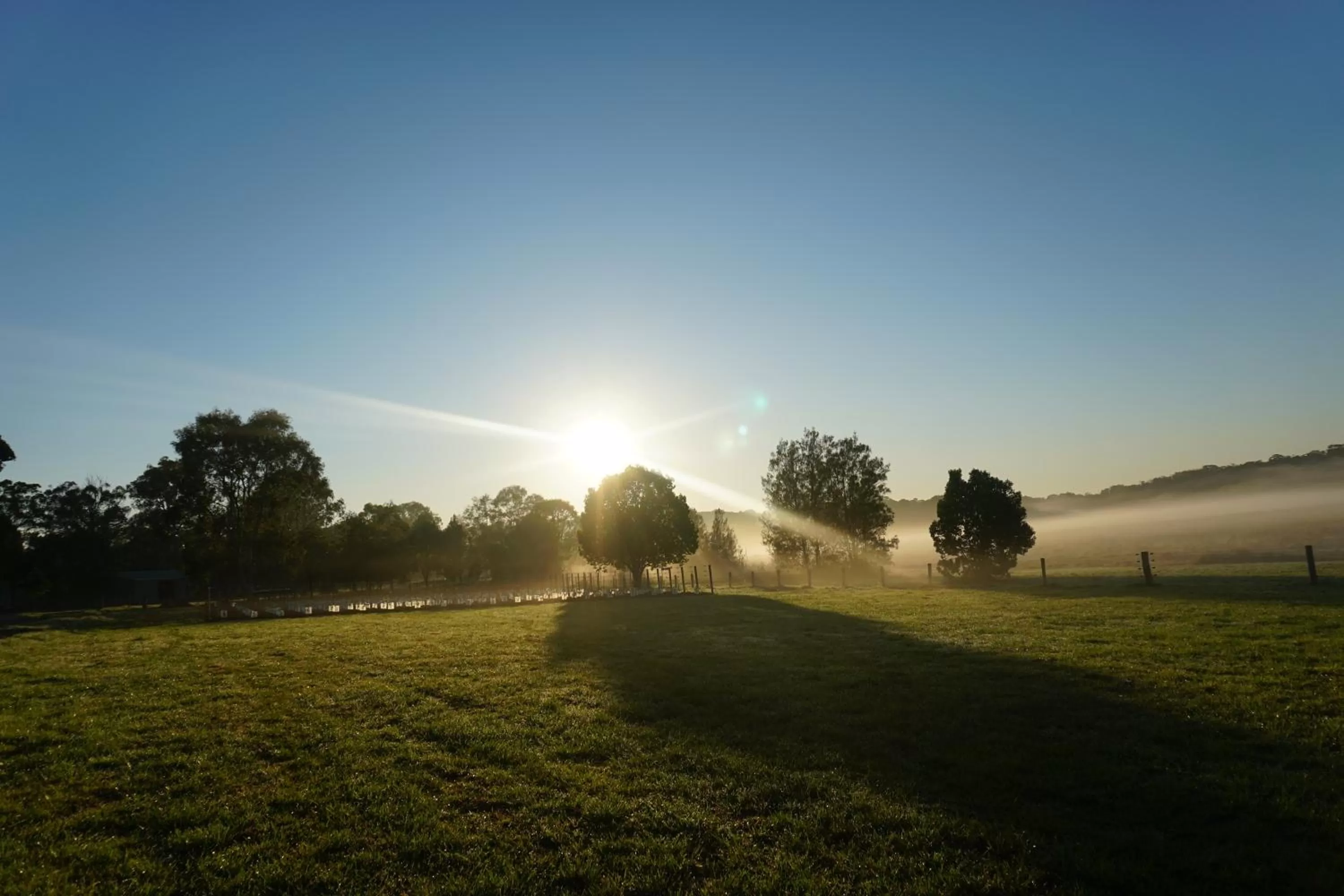 Spring in Narangba Motel (formerly Brisbane North B&B and Winery)