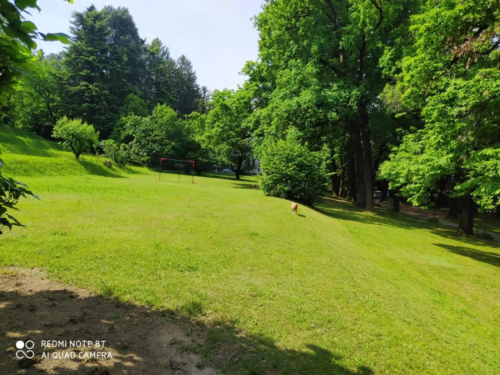 Natural landscape, Garden in "La Selvetta" bed and breakfast