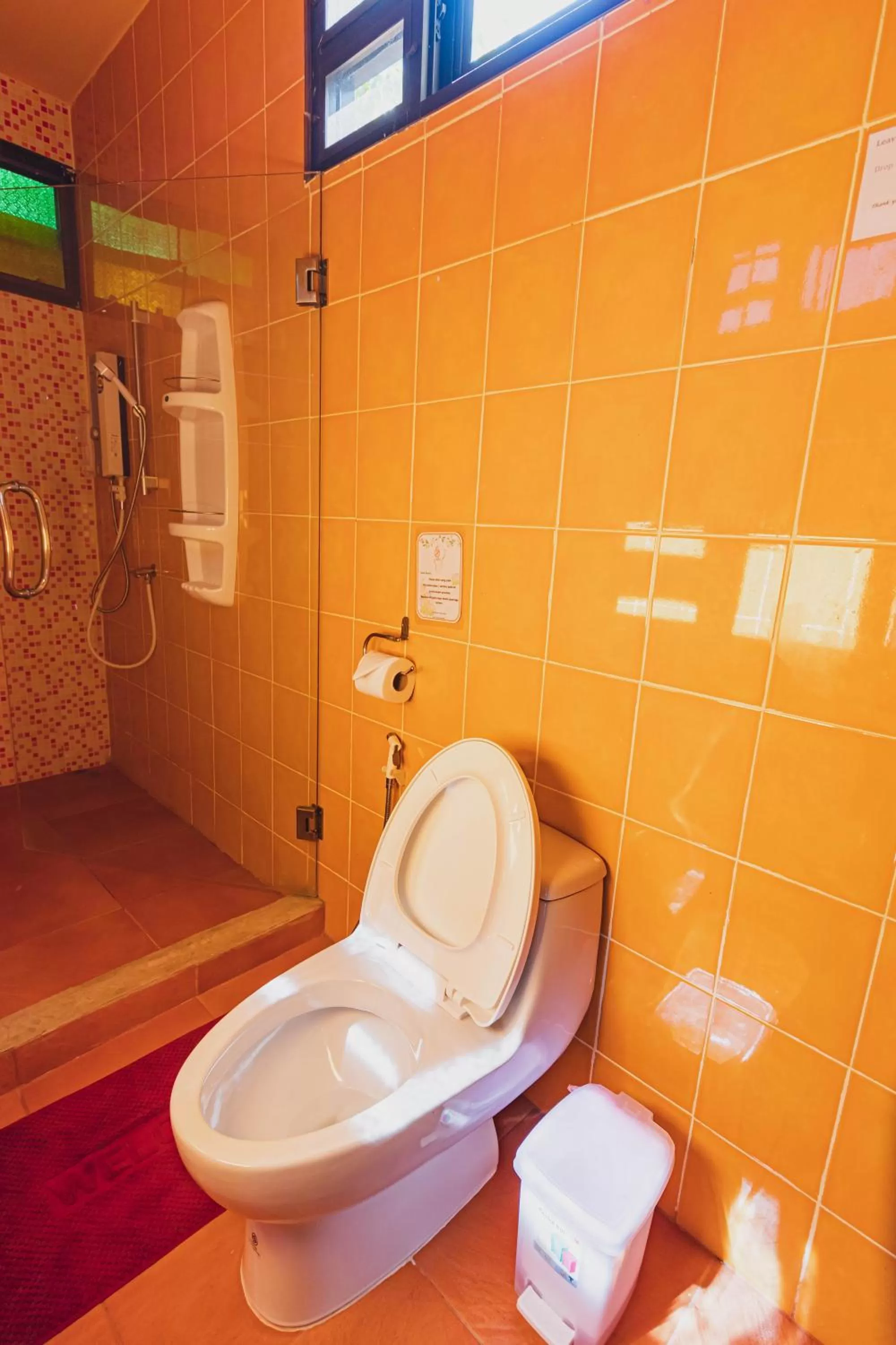 Shower in Joy's House & Tour