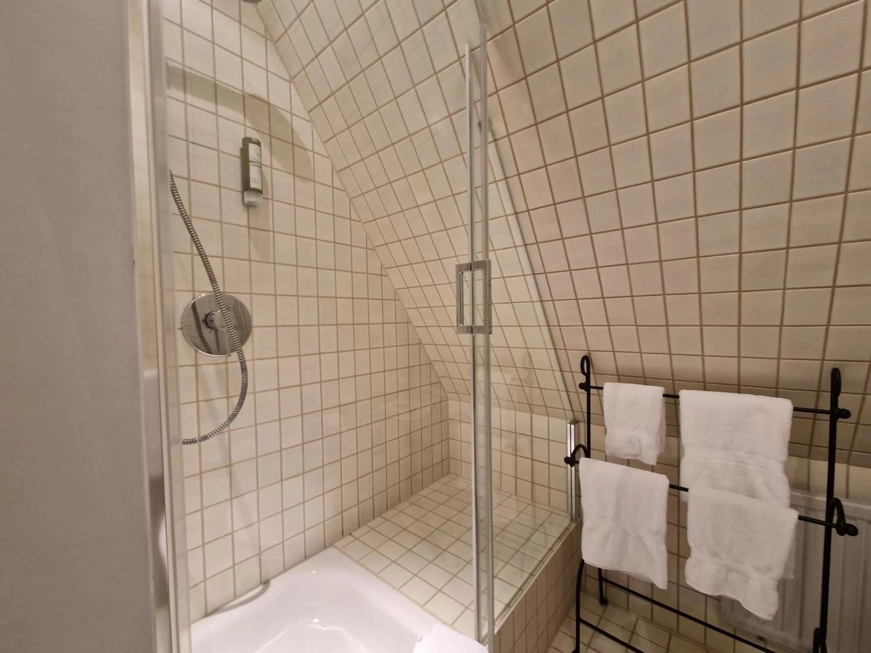 Shower, Bathroom in Laurentius Boutique-Hotel & Restaurant