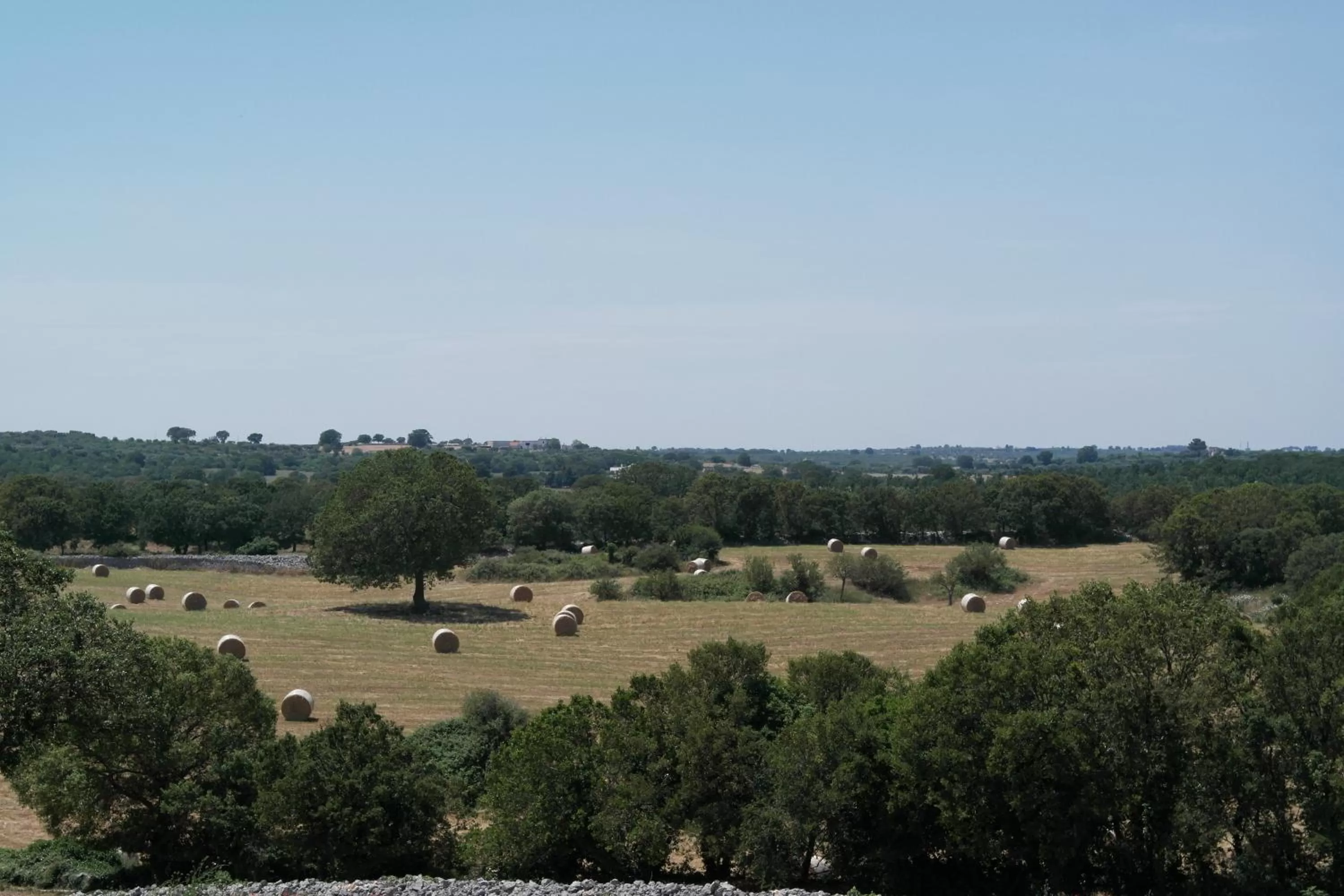 Garden view in B&B Masseria Santanna