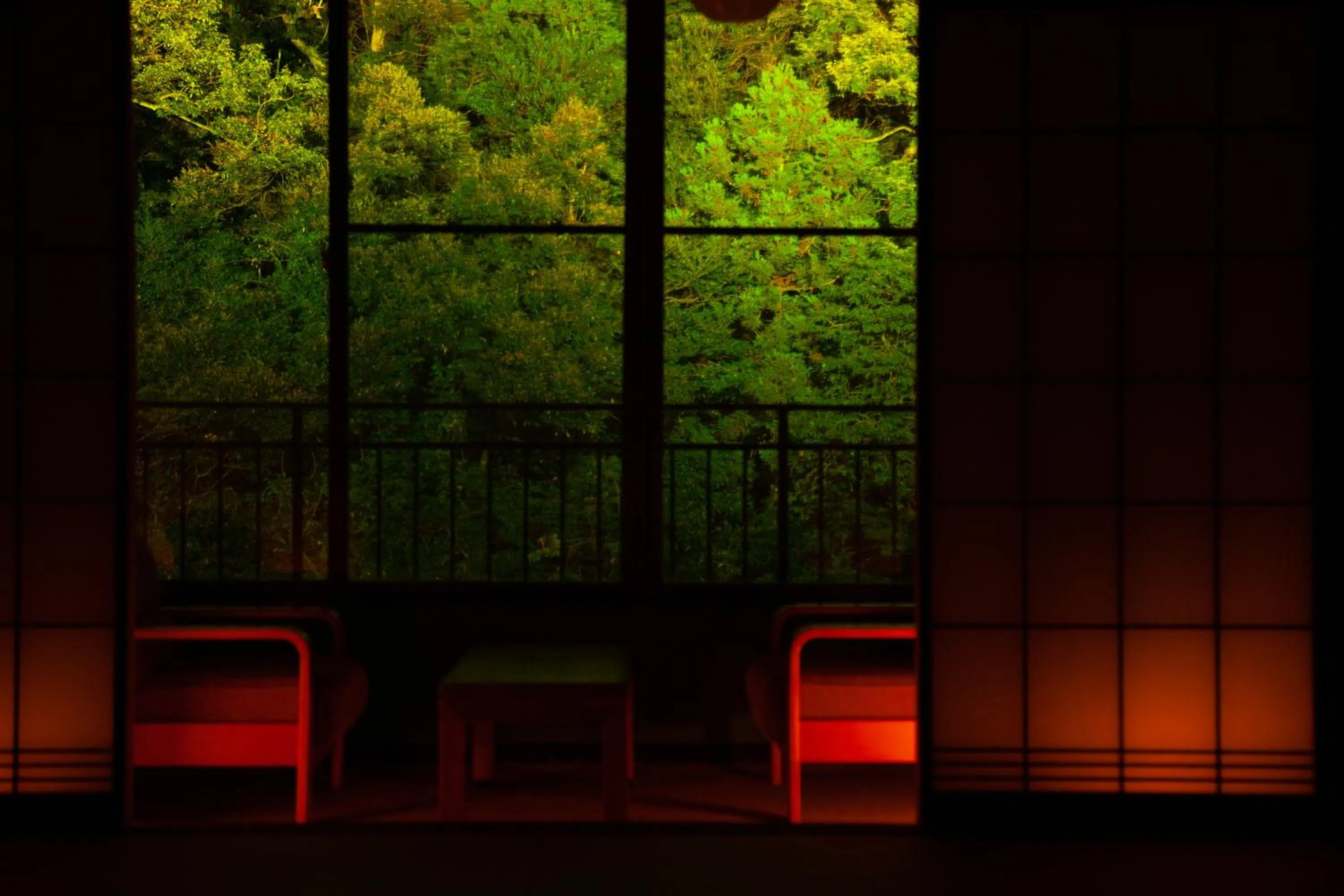 View (from property/room) in Shirasagiyu Tawaraya