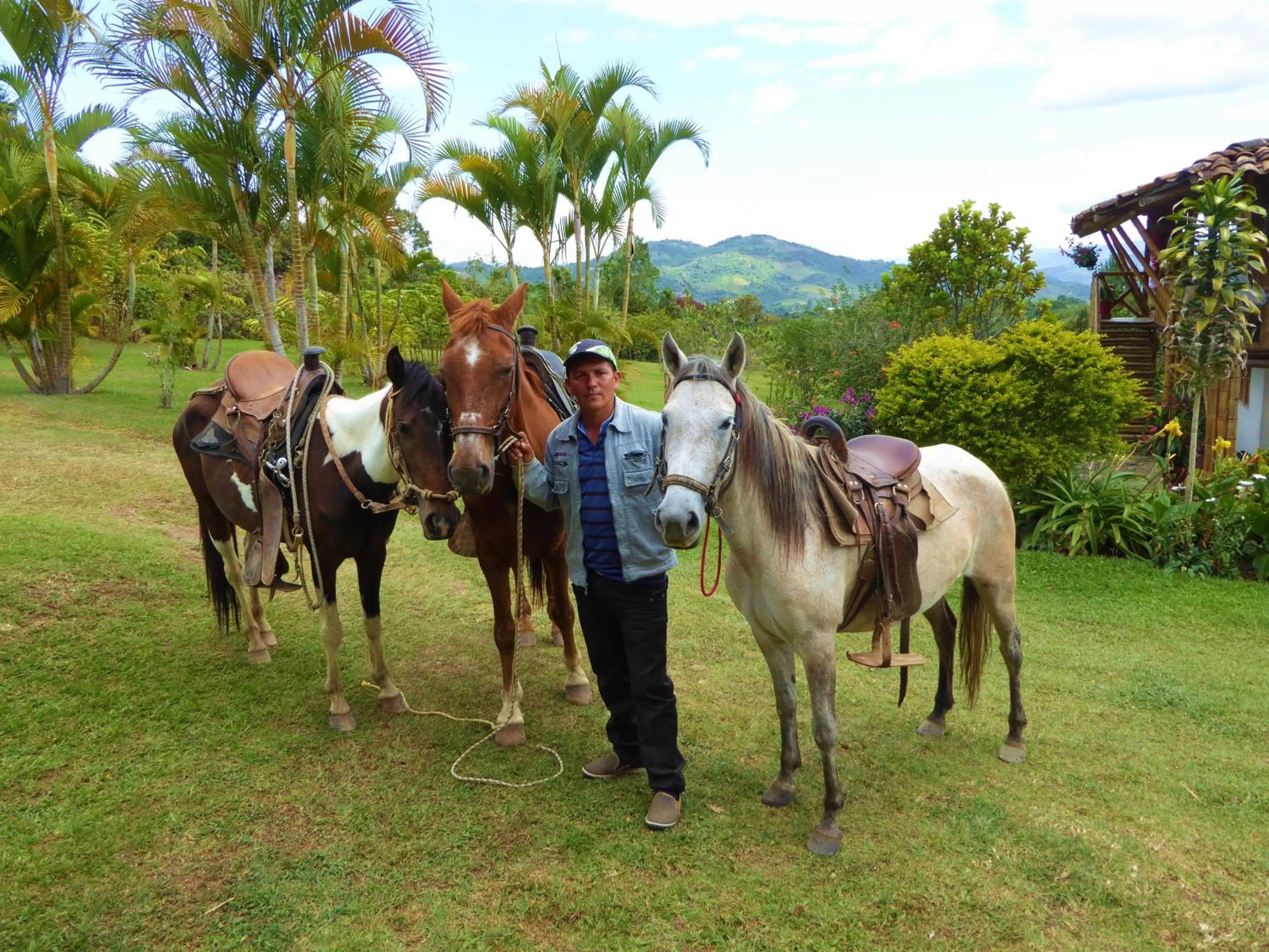 Hiking, Horseback Riding in Finca El Cielo