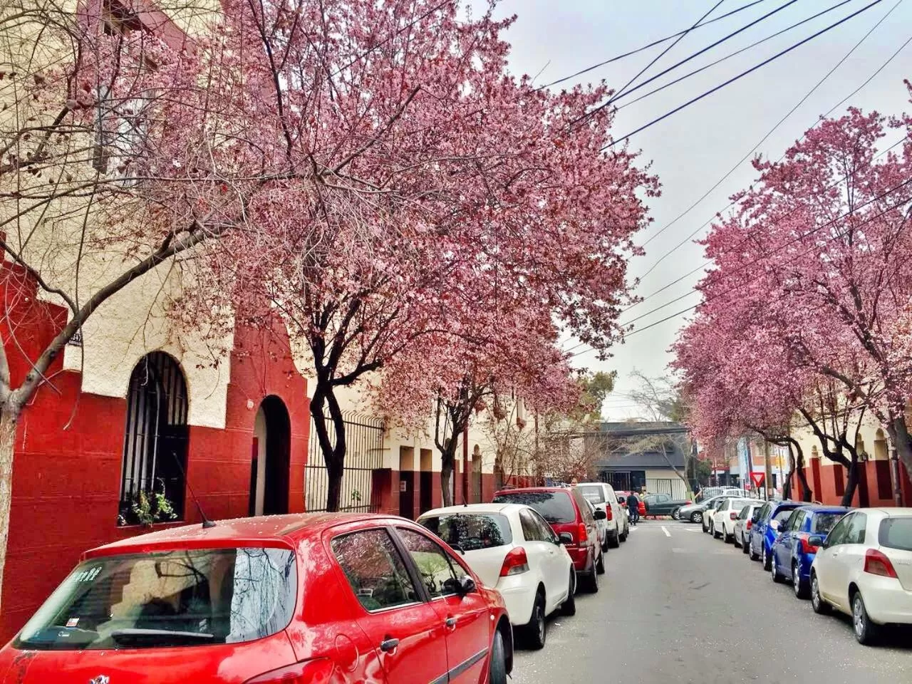 Spring, Neighborhood in Tralkan B&B