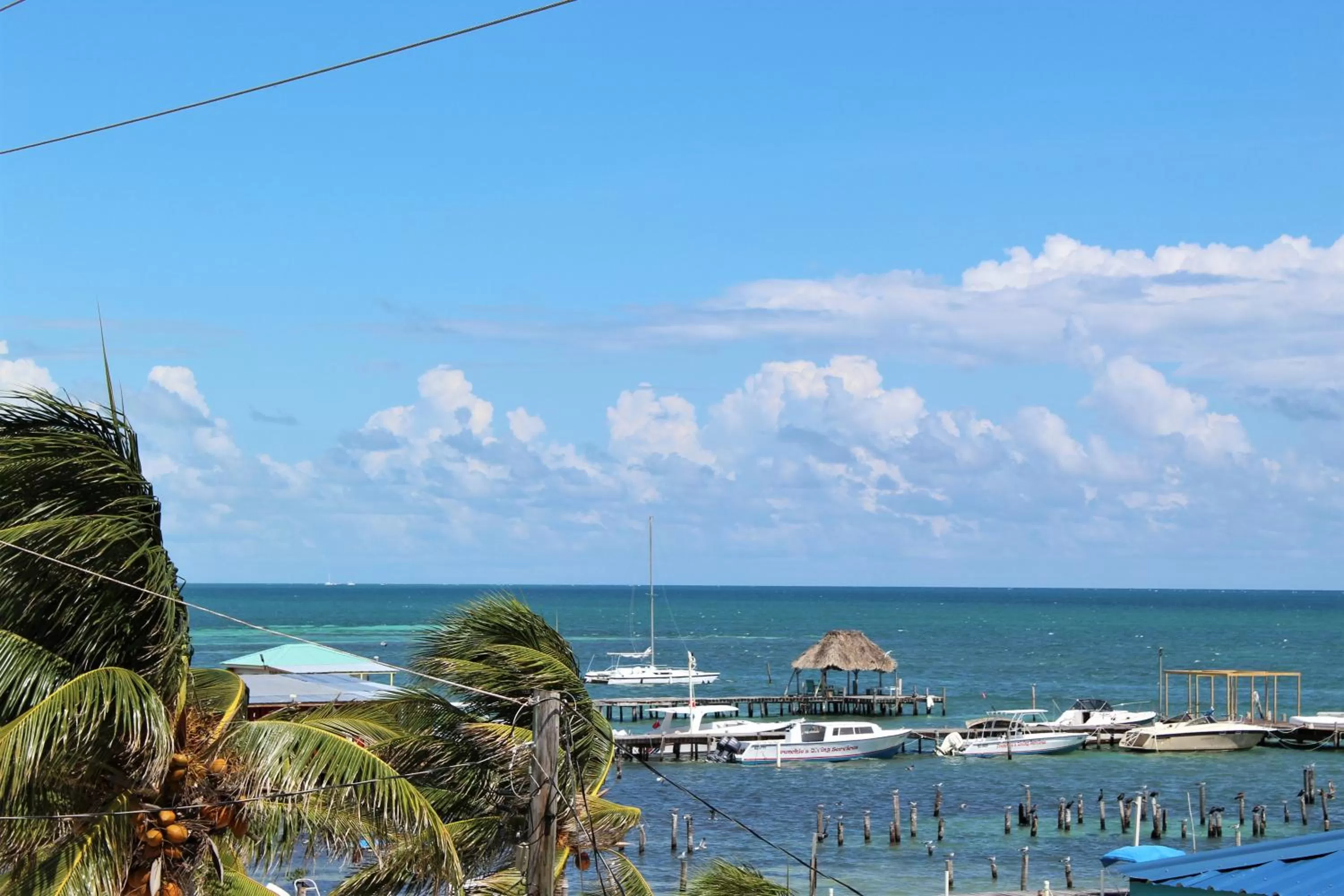 Balcony/Terrace in Barefoot Caye Caulker Hotel