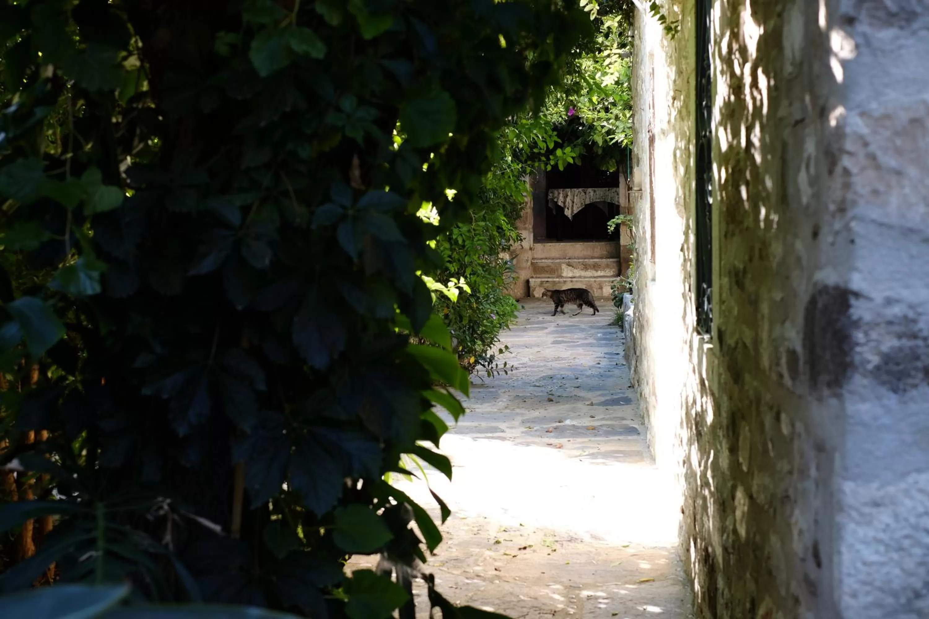 Garden in Ha La Bodrum