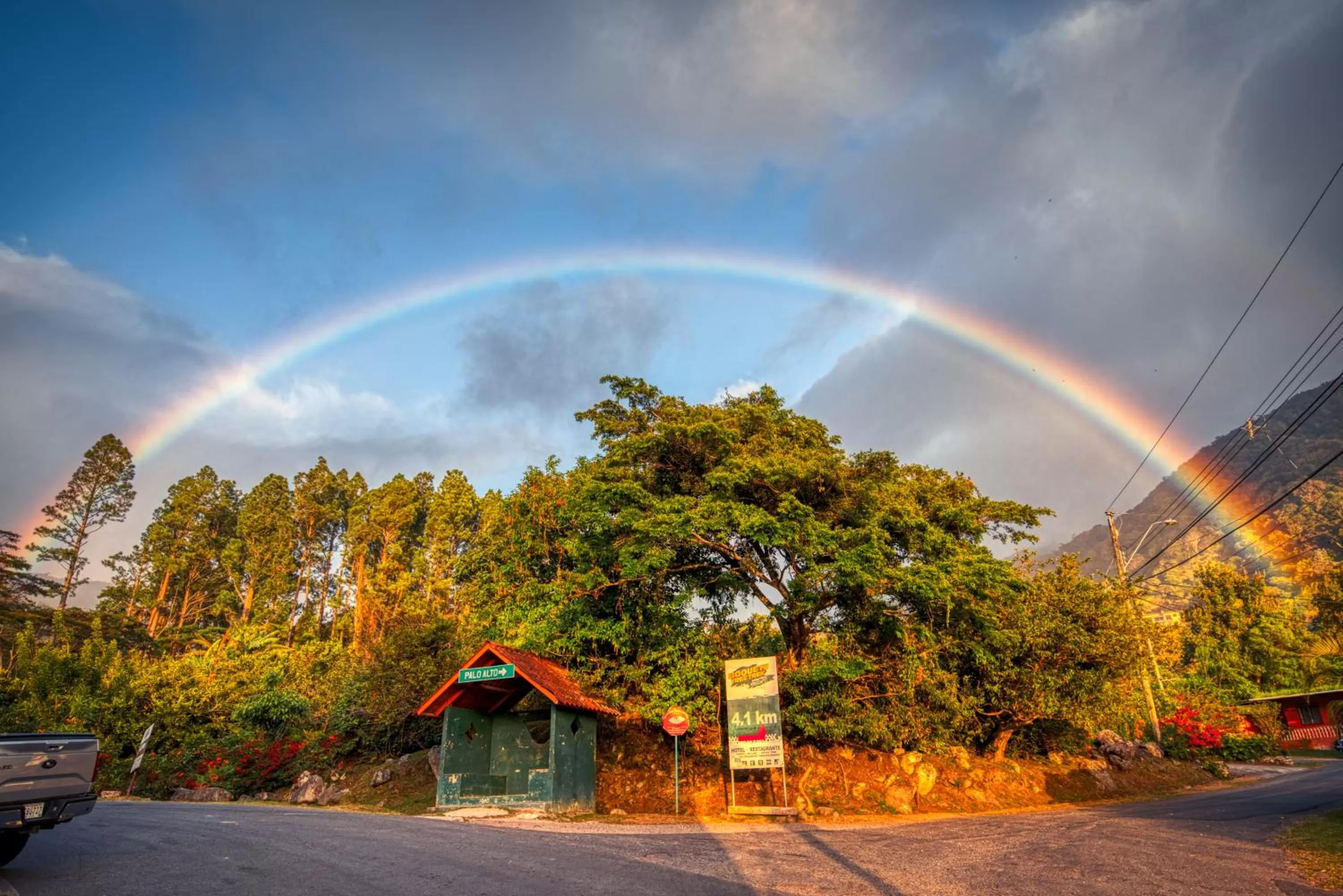 Natural landscape in The Inn at Palo Alto