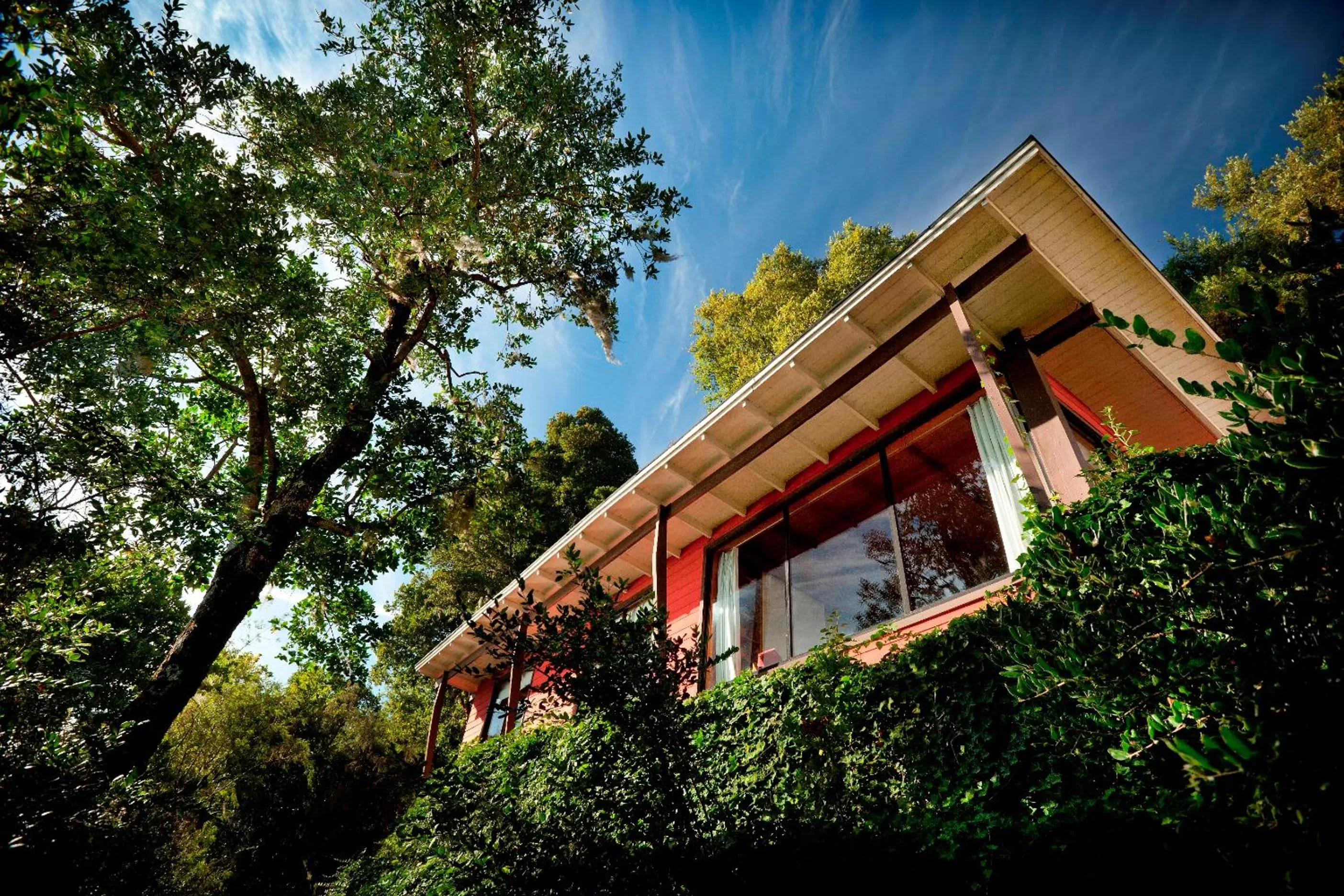 Photo of the whole room, Property Building in Hotel Antumalal